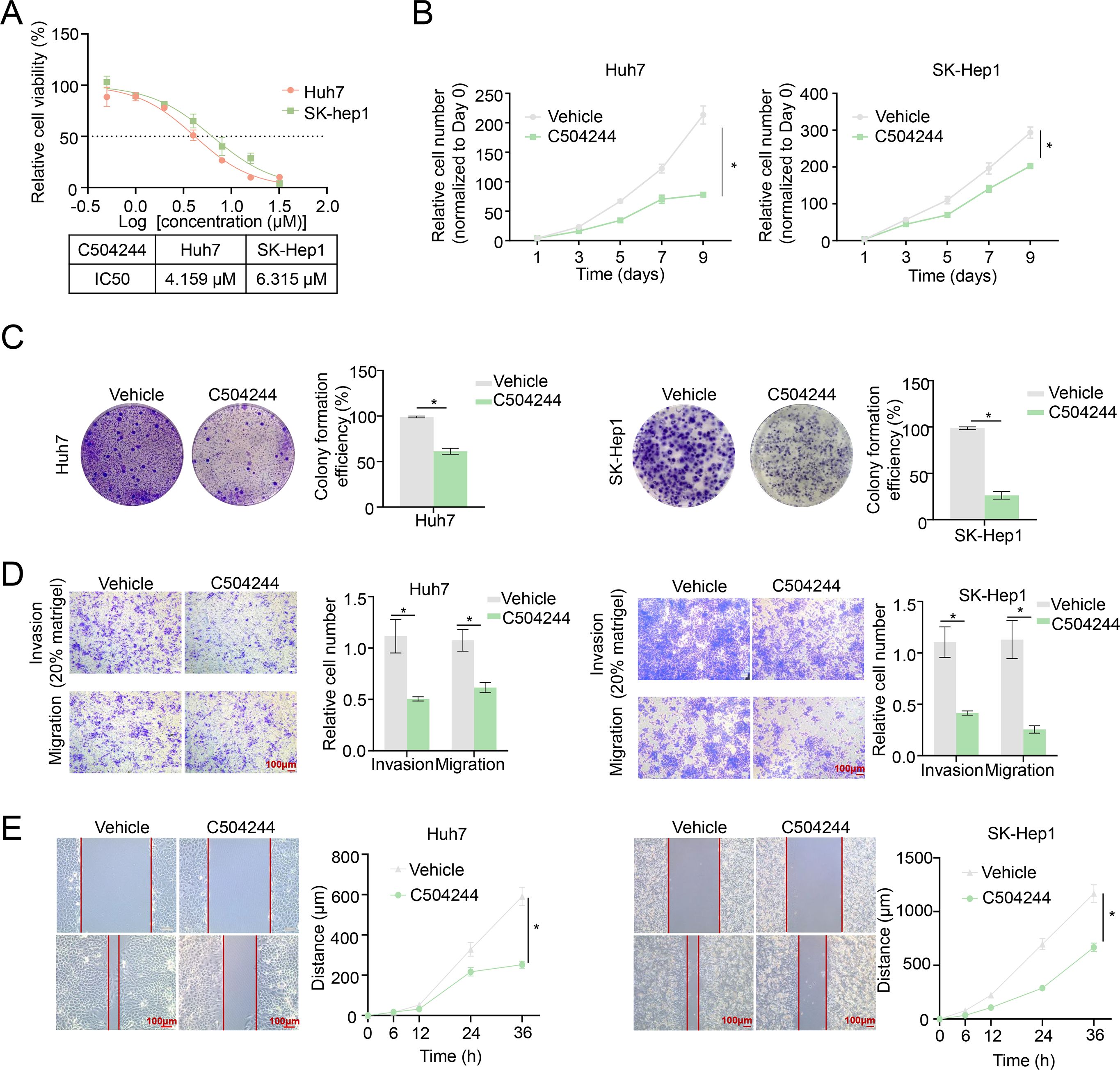 This image consists of multiple panels showing the effects of C504244 on Huh7 and SK-Hep1 cells. Panel A displays a dose-response curve indicating relative cell viability and IC50 values. Panel B shows growth curves comparing treated and untreated cells over time. Panel C presents colony formation assays with corresponding efficiency graphs. Panel D depicts invasion and migration assays with cell counts. Panel E illustrates gap closure in wound healing assays, with line graphs showing distance over time. Bars and errors denote statistical significance and variability.