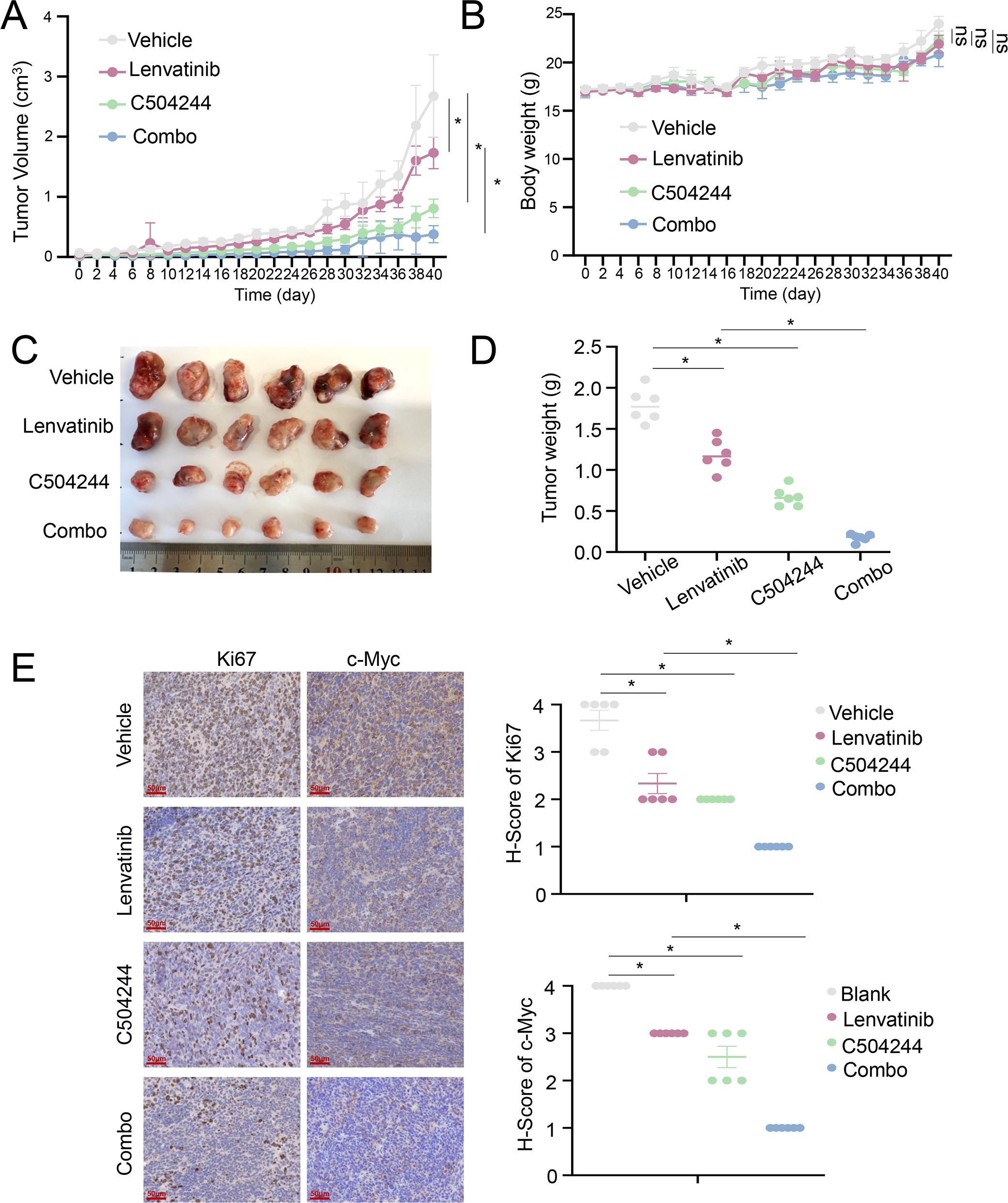 Multiple panels show the effects of various treatments (Vehicle, Lenvatinib, C504244, Combo) on tumor volume, body weight, tumor weight, and biomarkers in mice. Panel A shows tumor volume over time, with Combo having the least increase. Panel B shows stable body weight across treatments. Panel C displays excised tumors, visibly smaller in the Combo group. Panel D shows average tumor weight, lowest in Combo. Panel E includes Ki67 and c-Myc staining, indicating reduced expression in Combo. Graphs represent statistical significance with asterisks.