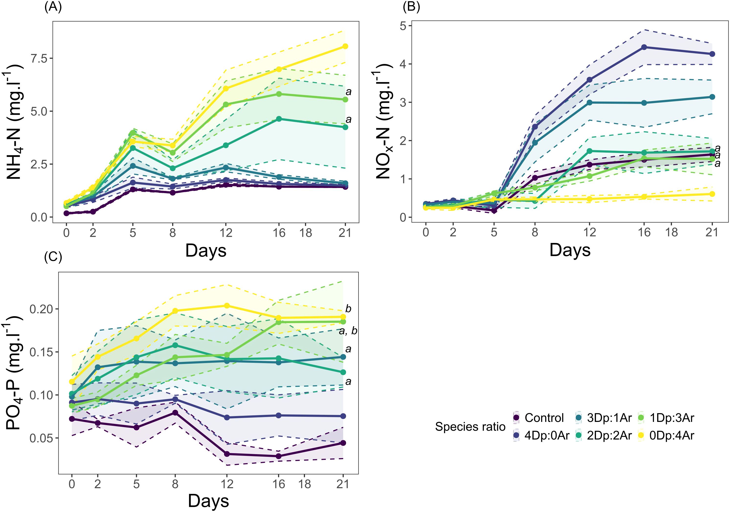 Line charts labeled (A), (B), and (C) show changes in nitrogen and phosphorus compounds over 21 days for different species ratios. (A) NH4-N increases steadily. (B) NOx-N shows a sharp rise from day 5. (C) PO4-P varies with a slight peak and decline. Legend indicates species ratios, with colors representing different treatments.