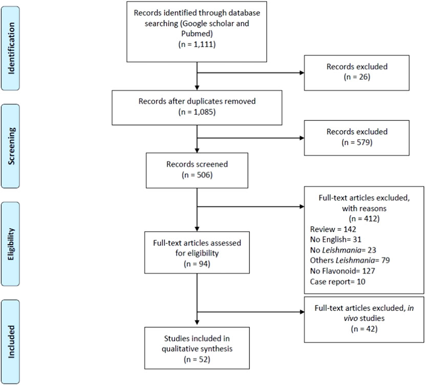 Flowchart detailing a study selection process. Identification: 1,111 records found via Google Scholar and PubMed. Screening: after removing duplicates, 1,085 records remain; 579 excluded, leaving 506 screened. Eligibility: 94 full-text articles assessed; 412 excluded for reasons such as review nature or language, leaving 52 for qualitative synthesis. Included: 42 in vivo studies excluded.