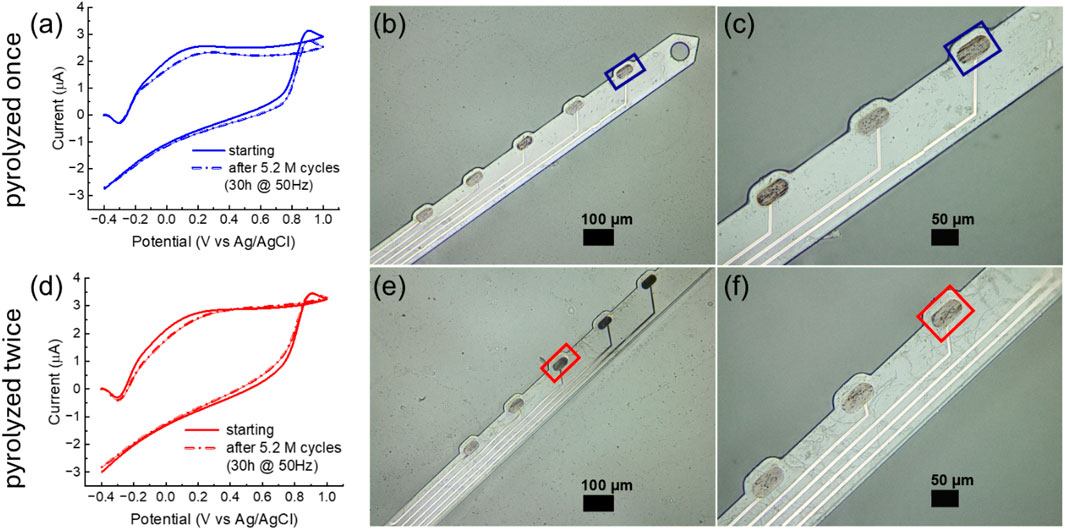 Graphical and microscopic analysis of pyrolyzed electrodes. (a) Cyclic voltammograms for electrodes pyrolyzed once, showing initial and post-5.2 million cycle data in blue. (b) Microscopic image of these electrodes, with a marked section in blue. (c) Close-up of a marked section, scale is 50 micrometers. (d) Cyclic voltammograms for electrodes pyrolyzed twice, with initial and post-5.2 million cycle data in red. (e) Microscopic image of these electrodes, with a marked section in red. (f) Close-up of a marked section, scale is 50 micrometers.