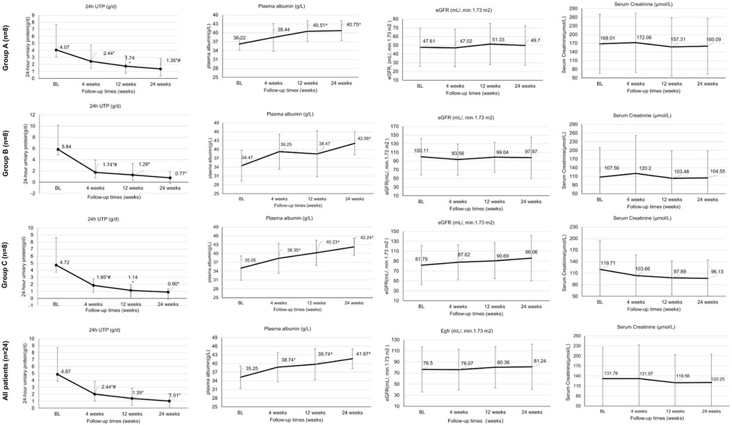 Graphs showing changes in 24-hour urinary protein, plasma albumin, estimated glomerular filtration rate (eGFR), and serum creatinine over 24 weeks for Groups A, B, C, and all patients. Each row represents a group, with three graphs per group detailing each parameter across baseline, 4 weeks, 12 weeks, and 24 weeks. Error bars indicate variation in data points.