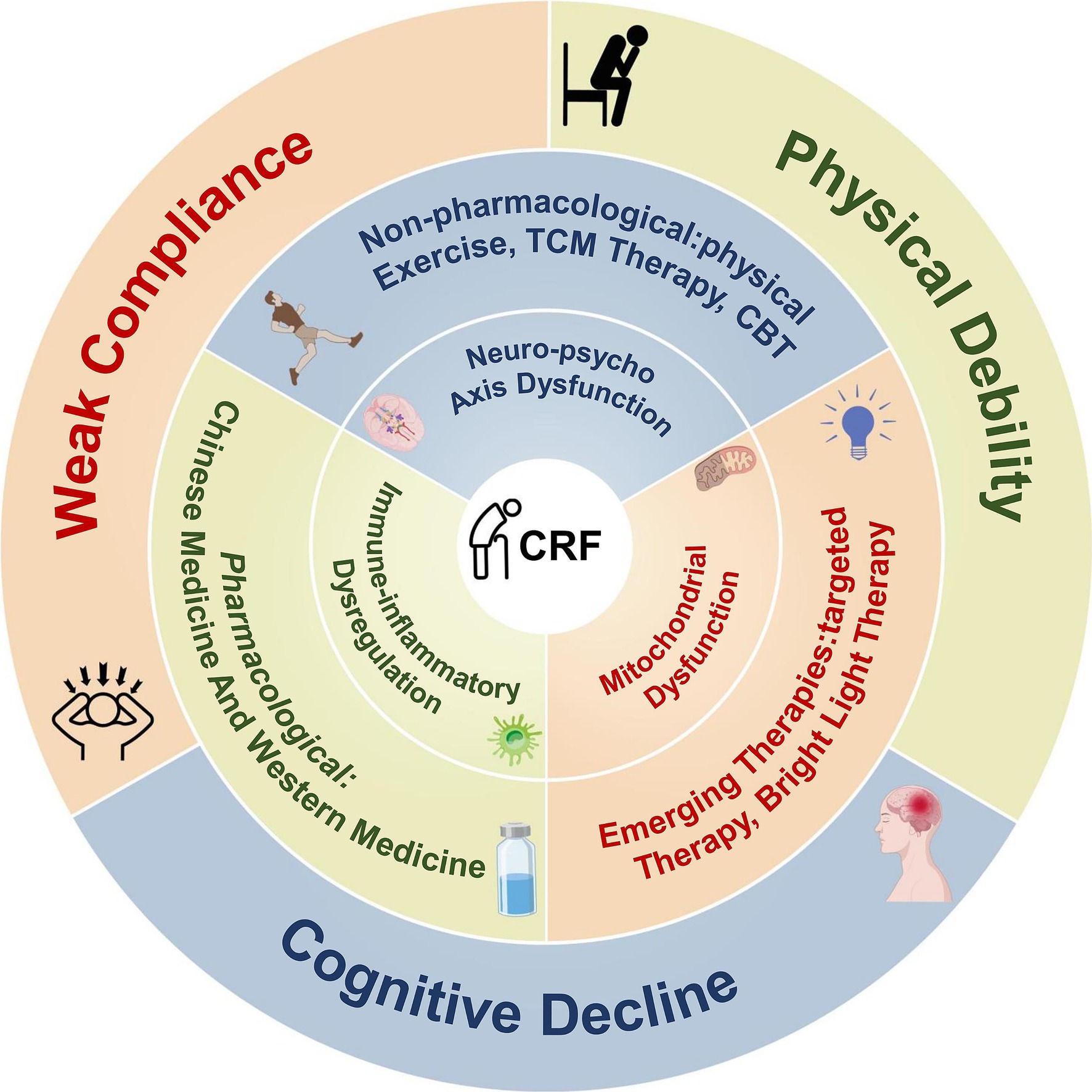 Diagram illustrating factors and interventions related to cancer-related fatigue (CRF). Three main sections: Weak Compliance, Physical Debility, and Cognitive Decline. Components include neuro-psycho axis dysfunction, immune-inflammatory dysregulation, and mitochondrial dysfunction. Interventions listed are non-pharmacological methods, pharmacological solutions, Chinese medicine, and emerging therapies. Visual elements include icons of exercise, medicine, and light therapy.