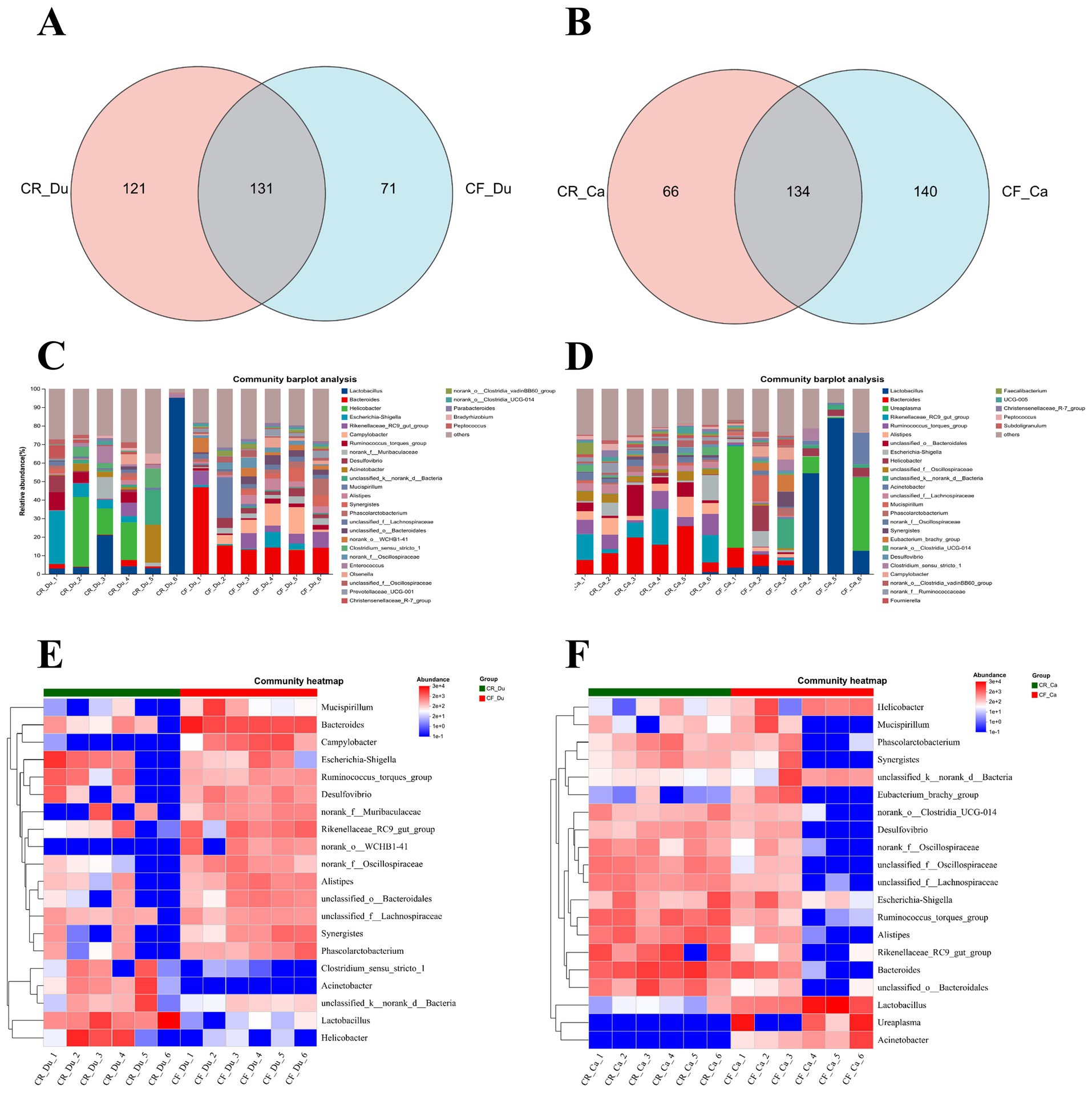 Image showing multiple panels related to microbiome analysis. Panel A and B are Venn diagrams comparing CR_Du vs. CF_Du and CR_Ca vs. CF_Ca, respectively, with overlapping and unique values. Panels C and D display bar charts of community barplot analysis, showing relative abundance of various microbial groups. Panels E and F are community heatmaps illustrating abundance variations across different microbial taxa for the specified groups.