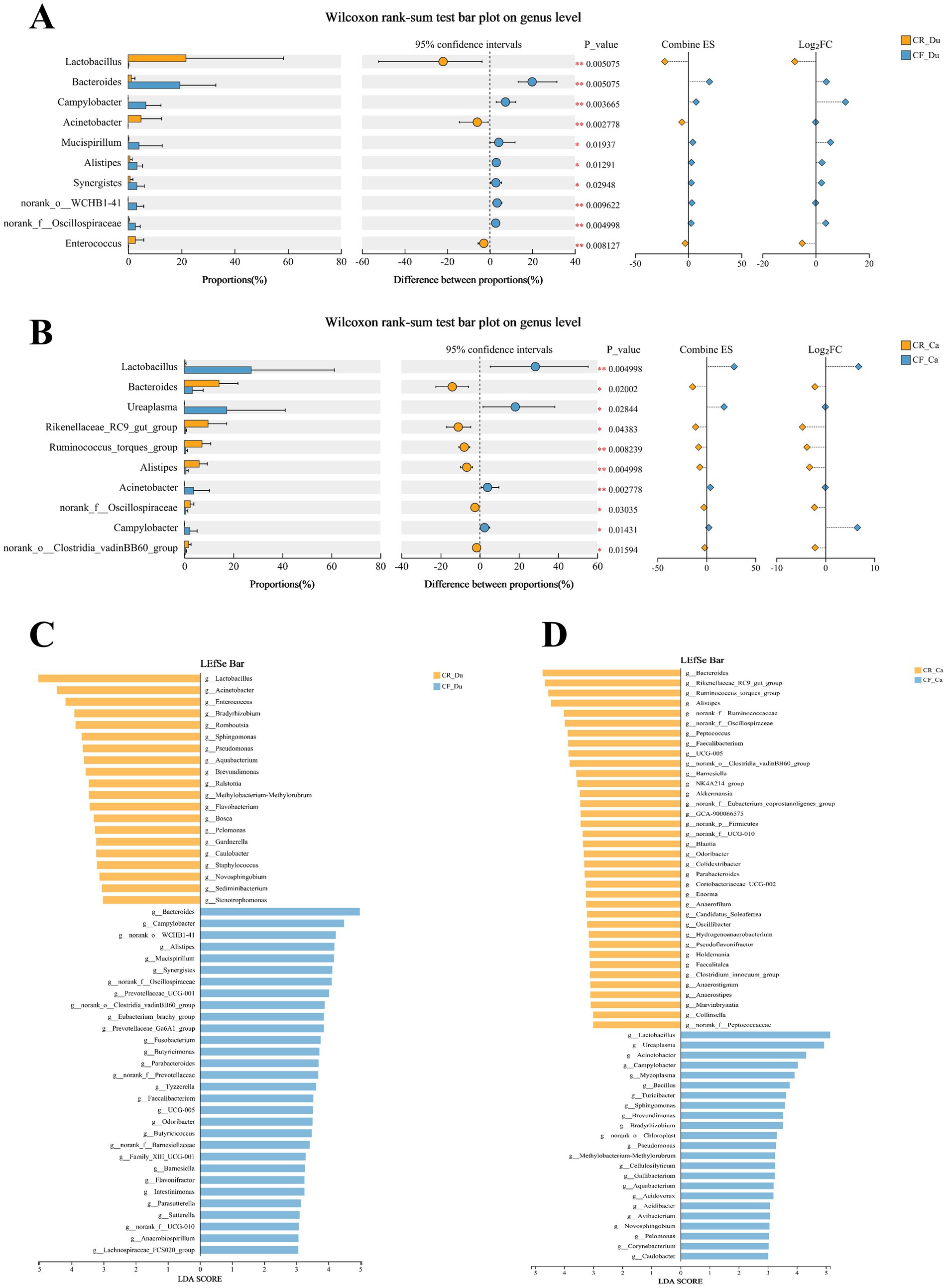 Panel A and B show Wilcoxon rank-sum test bar plots at the genus level, highlighting the differences in proportions, 95% confidence intervals, p-values, combined effect sizes, and log fold changes. Panel C and D display LEfSe bar charts, with different genera and their corresponding LDA scores, indicating distinct community structures. The charts use color coding to differentiate between groups CR and CF.