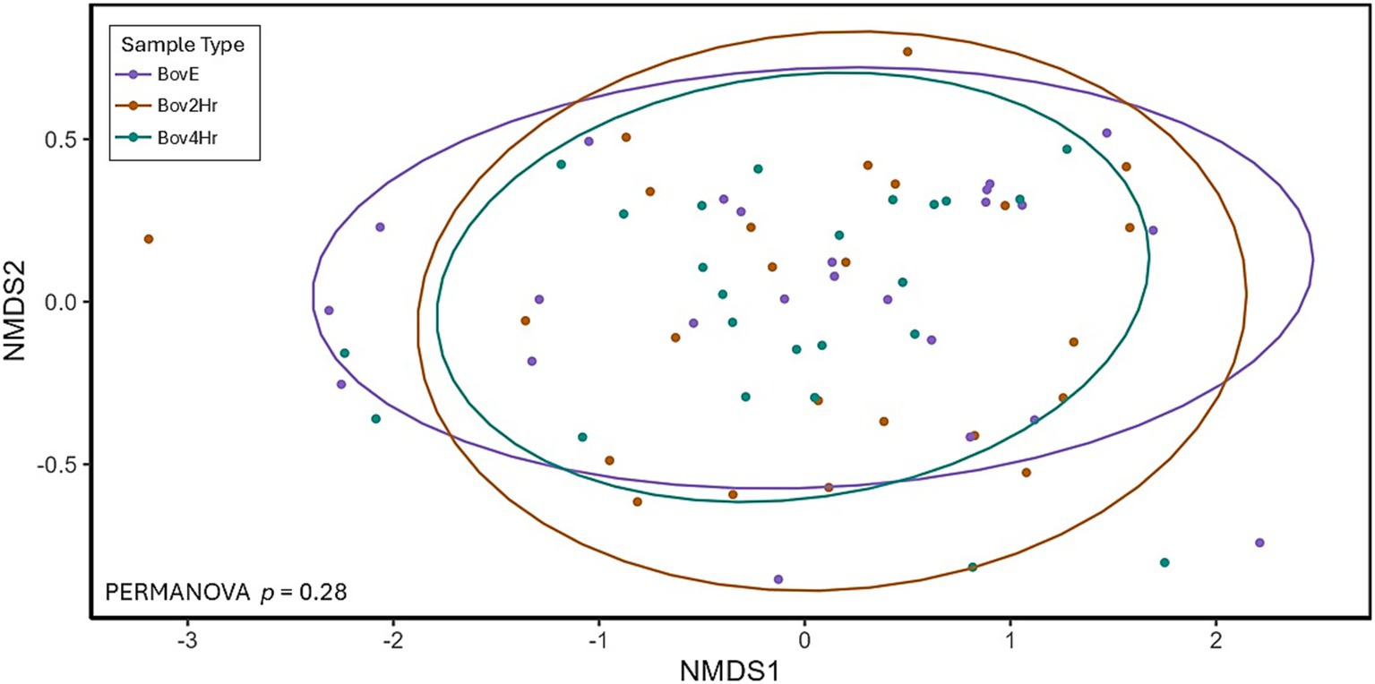 Scatter plot showing three groups of data points represented by purple, brown, and teal dots for sample types BovE, Bov2Hr, and Bov4Hr. Each group is enclosed by an ellipsoid contour line. Axes are labeled NMDS1 and NMDS2. The PERMANOVA p-value is 0.28, indicating the significance of group separation.