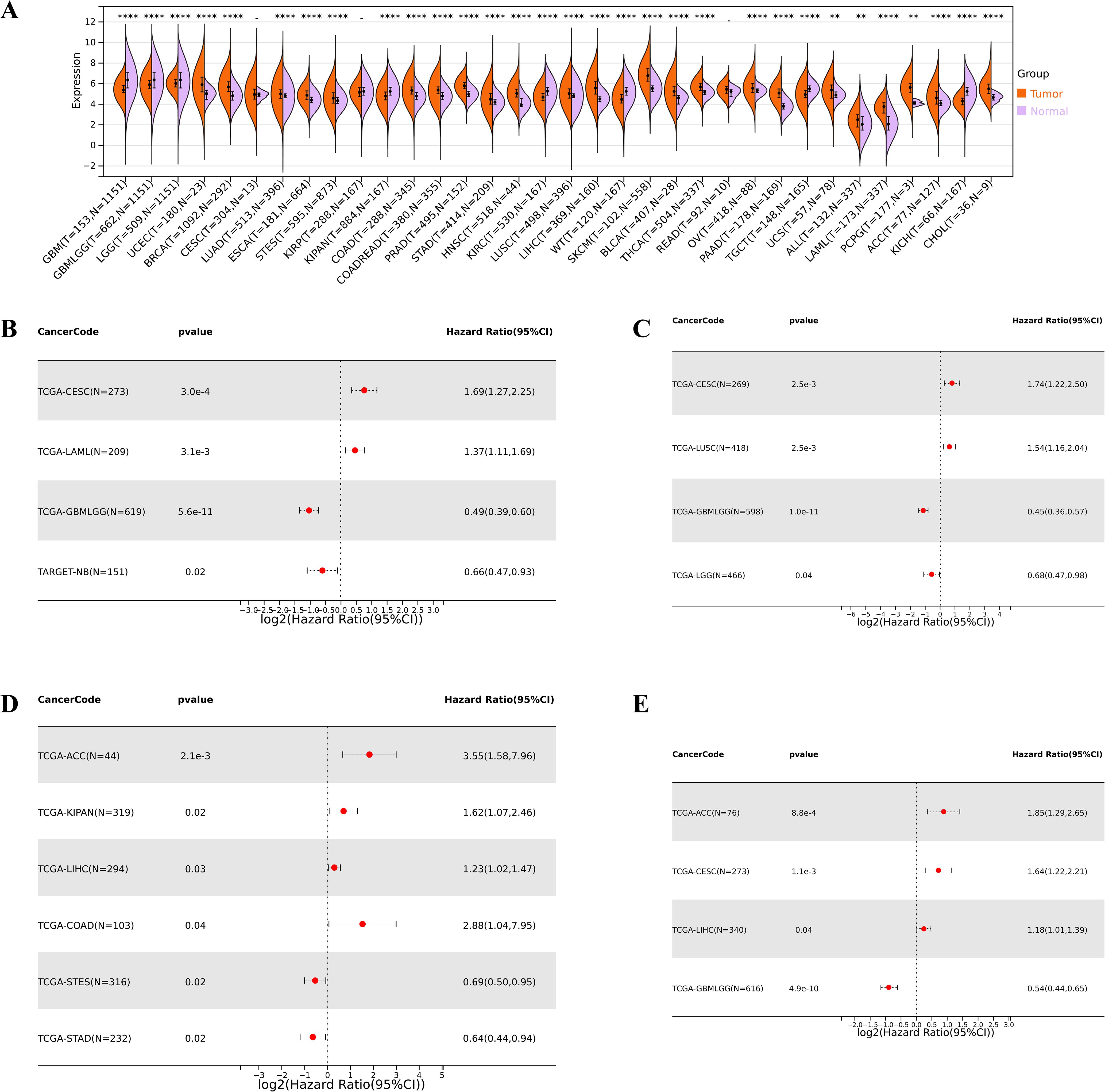 A composite image with five panels labeled A to E. Panel A shows a violin plot comparing gene expression in tumor and normal tissues across various cancer types, with tumor expression in orange and normal in purple. Panels B to E show forest plots of hazard ratios for different cancer types with p-values indicated. Red dots and lines represent hazard ratios and confidence intervals. Each panel lists cancer codes, p-values, and hazard ratios. Results indicate significant associations between gene expression and cancer prognosis.