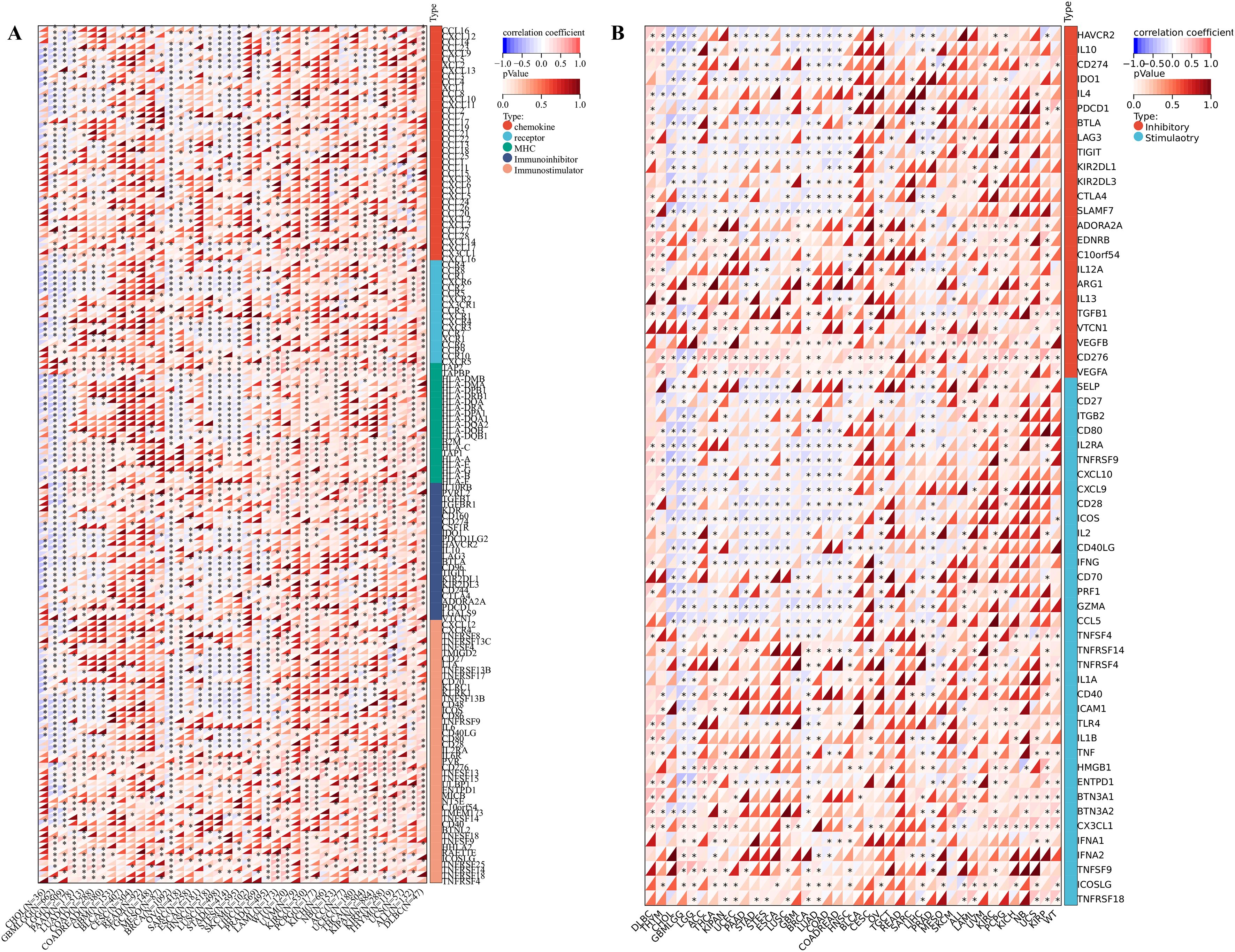 Triangle correlation plots labeled A and B show correlation coefficients for various genes. Dark red indicates strong positive correlation, and blue indicates negative correlation. Triangles vary in size and color intensity, representing different correlation strengths and p-values. Labels on the axes list gene names, and a legend specifies gene types, such as chemokine, receptor, MHC, and immunoinhibitor for A, and inhibitory or stimulatory for B.
