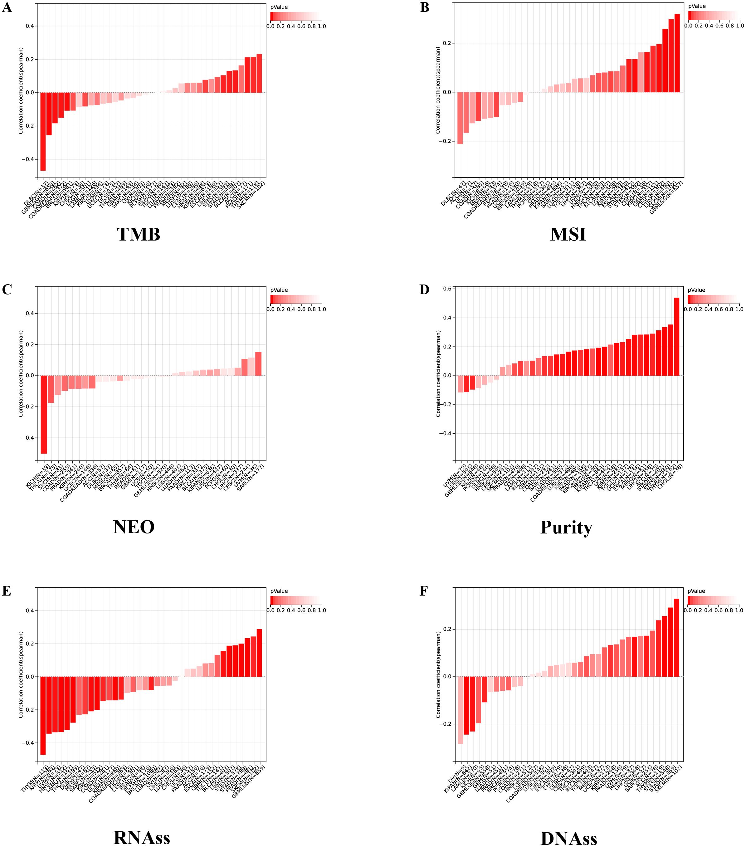 Bar charts labeled A to F compare expression correlation means across various categories. Each chart is associated with different factors: A) TMB, B) MSI, C) NEO, D) Purity, E) RNAss, and F) DNAss. Red bars indicate varying correlation values, with a gradient indicating p-values from zero to one.
