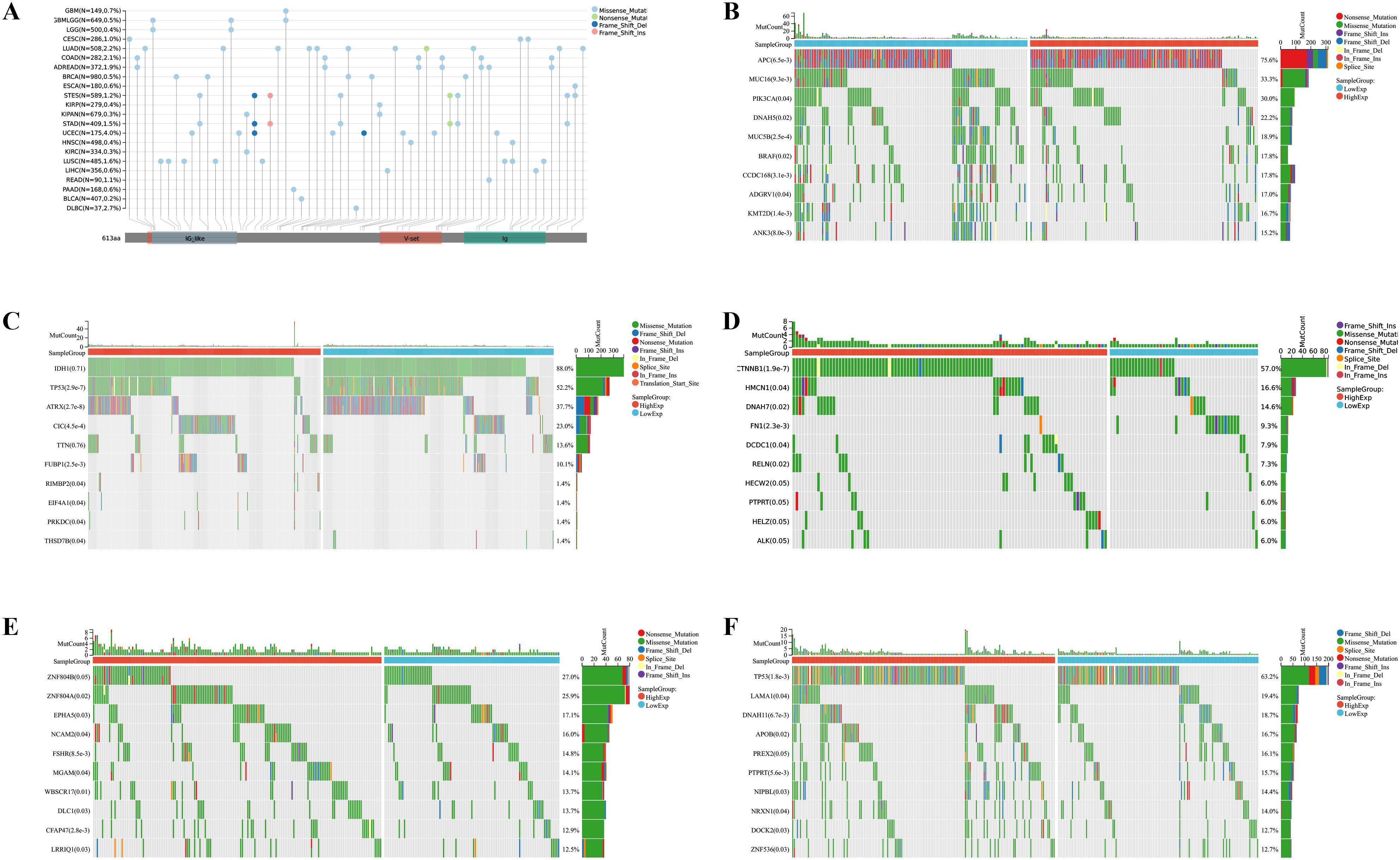 Composite image showing six panels labeled A to F. Panel A is a scatter plot displaying mutation frequencies across various cancer types, with a horizontal axis representing gene positions and colored dots indicating mutation types. Panels B to F are heatmaps with mutations along the horizontal axis and genes along the vertical axis. Each heatmap shows different mutation types using various colors, with mutation counts at the top and percentages at the right. Panels B, C, D, E, and F display data on different gene mutations, emphasizing expression levels in green and red shades.