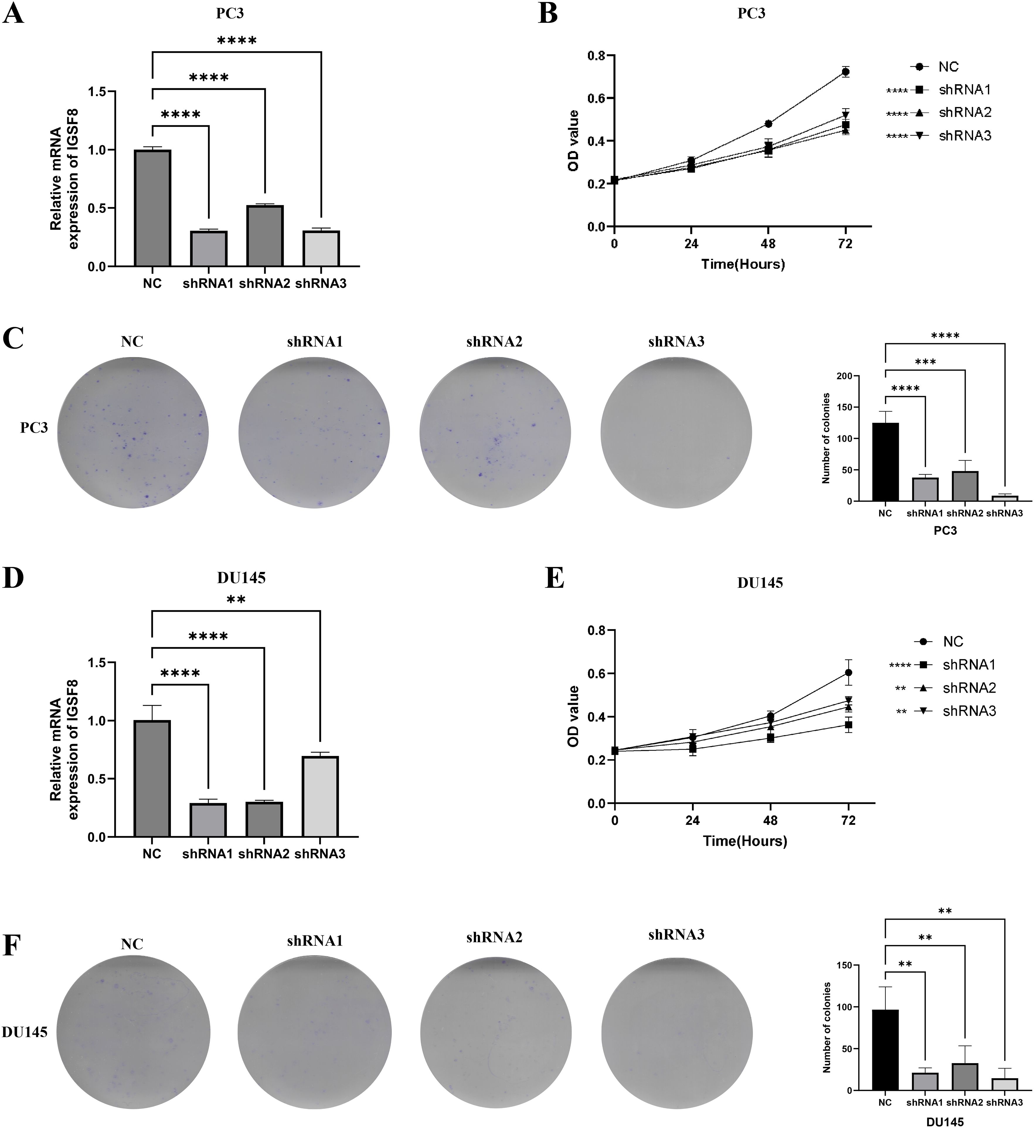 Bar and line graphs with colony formation assays explore the effects of different shRNA treatments on IGF5B mRNA expression, cell proliferation, and colony formation in PC3 and DU145 cell lines. Panels A and D show a decrease in IGF5B expression in shRNA-treated groups compared to control. Panels B and E depict growth curves with reduced proliferation in shRNA groups. Panels C and F show fewer colonies for shRNA treatments, especially shRNA1. Statistical significance is indicated with asterisks, highlighting differences between treatments.
