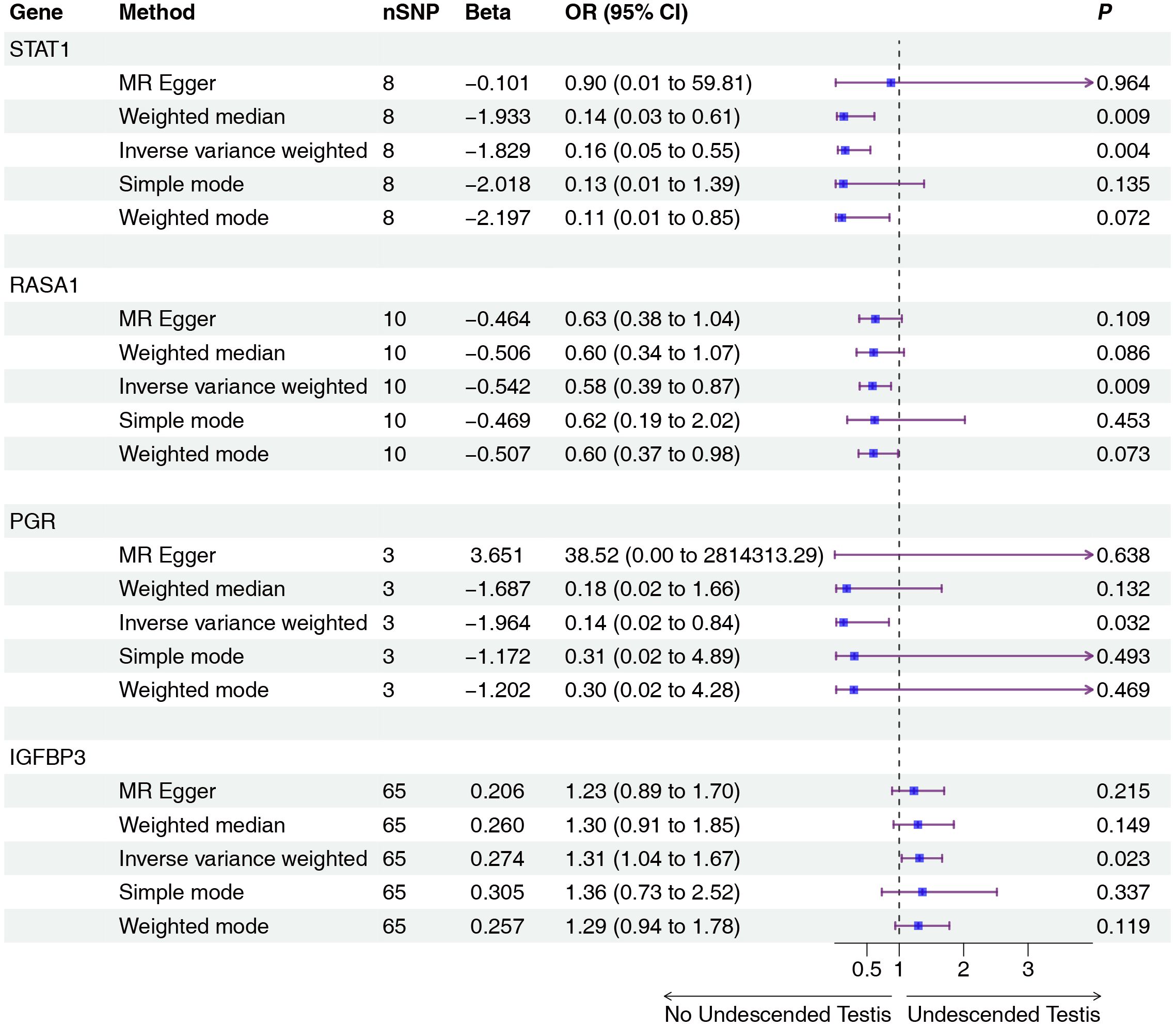 Forest plot showing genetic associations with undescended testes for genes STAT1, RASA1, PGR, and IGFBP3. Methods include MR Egger, Weighted Median, Inverse Variance Weighted, Simple Mode, and Weighted Mode. Each method shows nSNP, Beta, OR with 95% CI, and P-values. Confidence intervals are represented by horizontal lines, with some crossing the null value line at one, indicating varied significance levels.