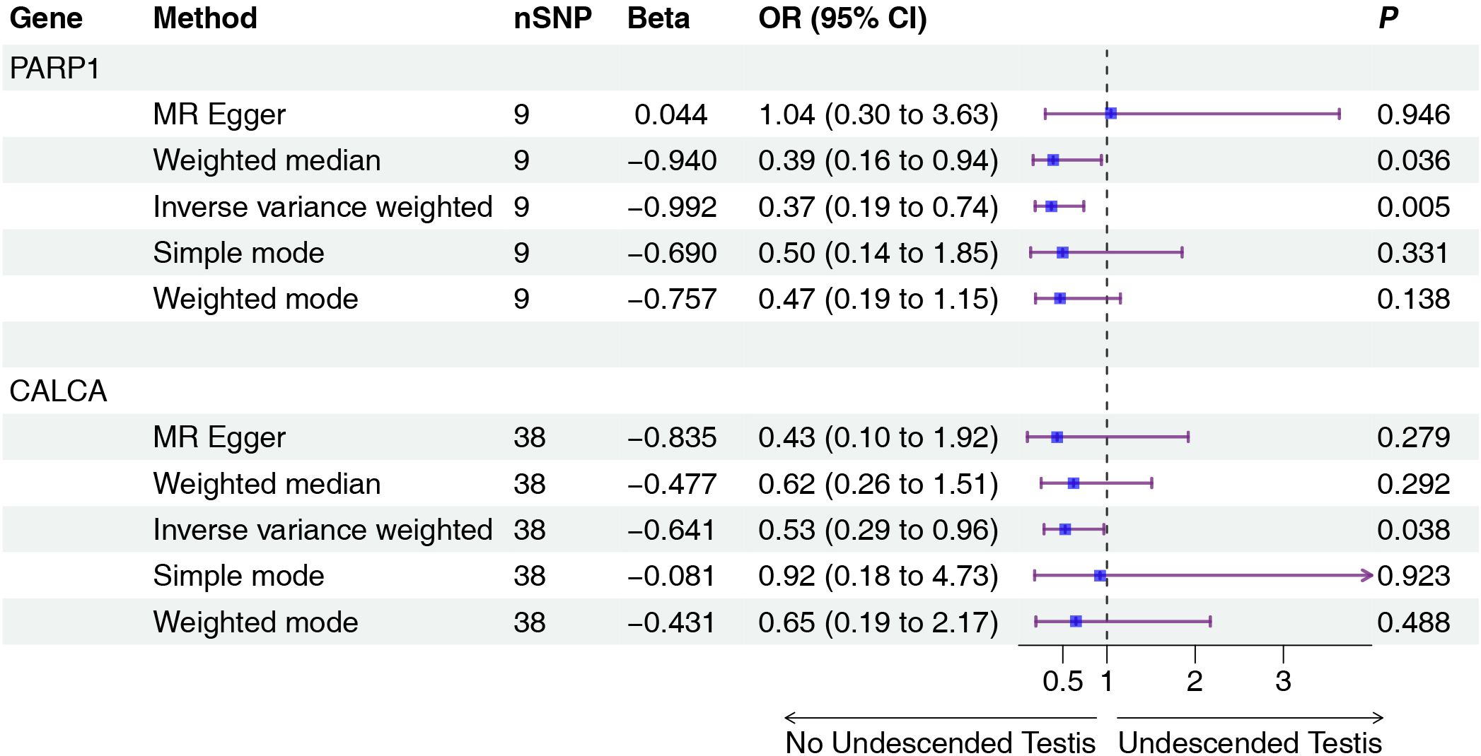 Forest plot displaying odds ratios (OR) and 95% confidence intervals (CI) for genetic methods related to PARP1 and CALCA genes. For PARP1, the inverse variance weighted method shows significant association (OR 0.37, P = 0.005). For CALCA, significance is noted with inverse variance weighted (OR 0.53, P = 0.038). Horizontal lines denote confidence intervals, with dashed vertical line at OR = 1, representing no effect.