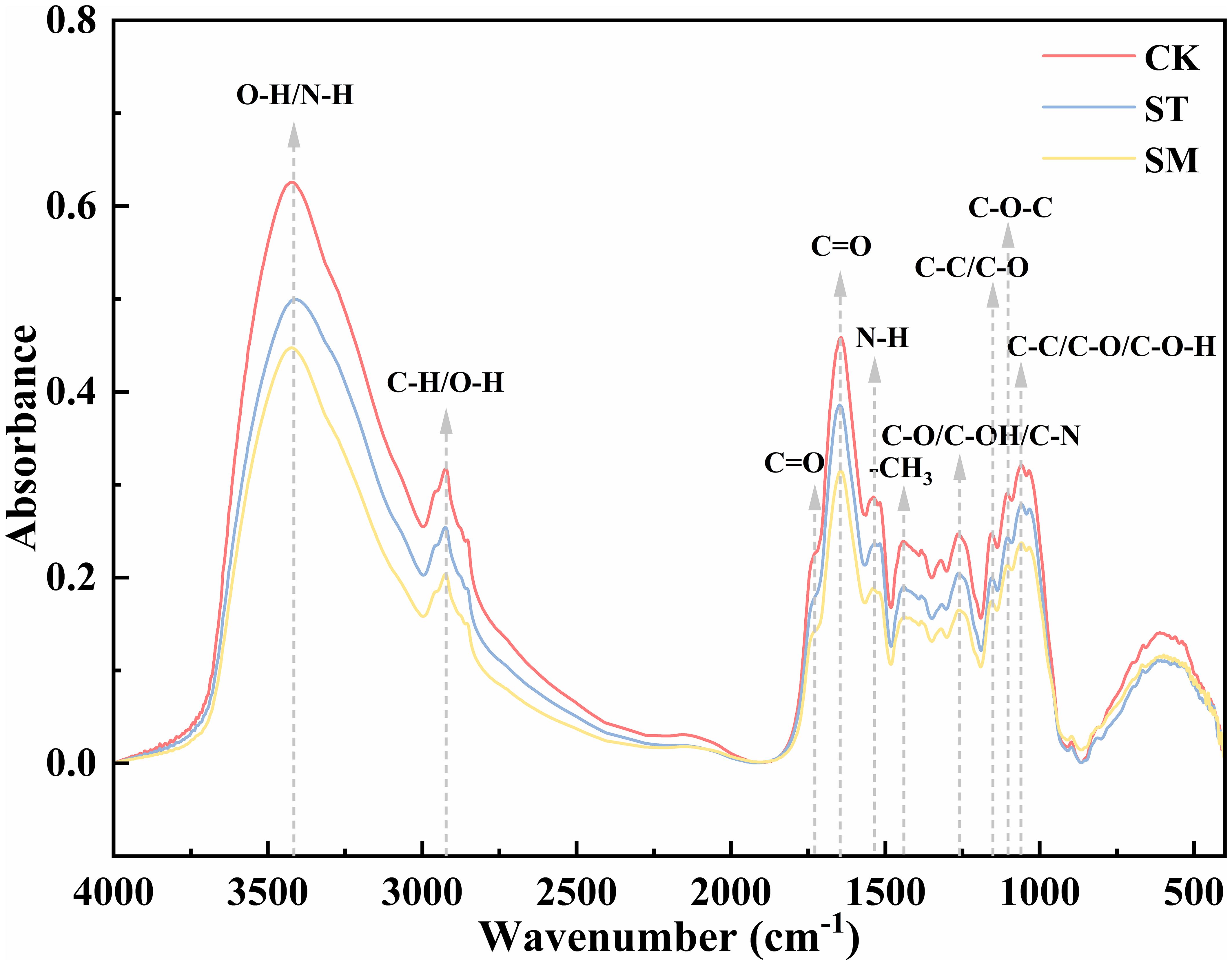 FTIR spectra graph displaying absorbance against wavenumber, measured in centimeters inverse, ranging from 400 cm-1 to 500. Three lines represent CK (red), ST (blue), and SM (yellow) samples. Peaks are labeled with functional groups: O-H/N-H, C-H/O-H, C=O, N-H, C-O-C, -CH3, among others. Key structural features are identified across the spectrum.