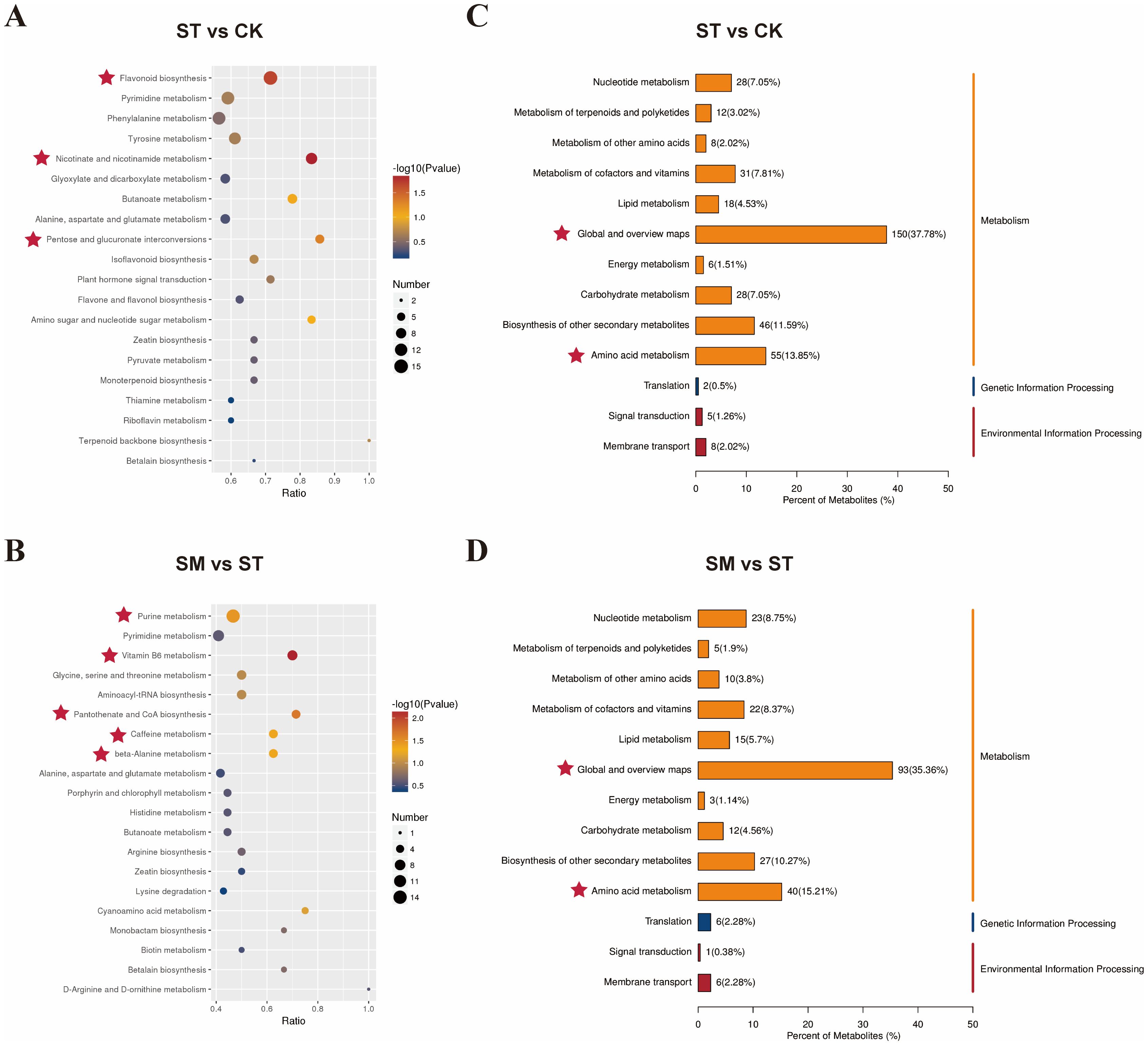 Four-panel image compares metabolic pathways. Panel A: Bubble chart for ST vs. CK, showing pathway ratios and significance. Panel B: Bubble chart for SM vs. ST, indicating pathway ratios and significance. Panel C: Bar chart for ST vs. CK, displaying metabolite percentages in various categories. Panel D: Bar chart for SM vs. ST, illustrating metabolite percentages in categories. Red stars highlight key pathways. Panel (A, B) Color gradients represent significance levels across all charts.