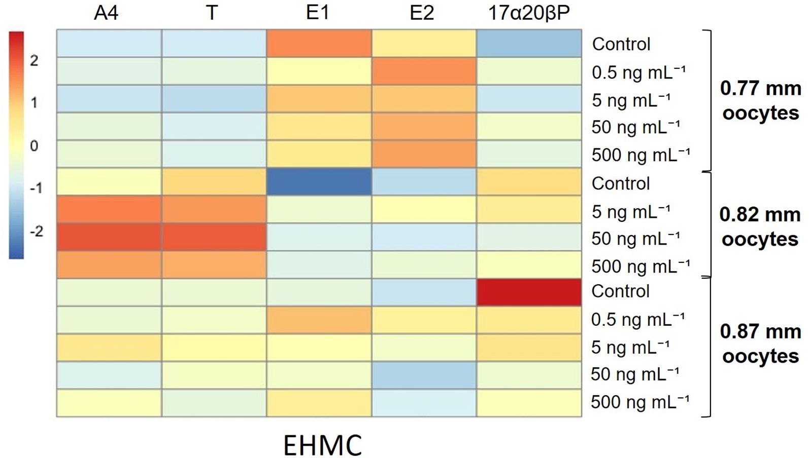 Heatmap showing hormone responses (A4, T, E1, E2, 17α20β) for different EHMC concentrations (0.5 to 500 ng mL⁻¹) and oocyte sizes (0.77 mm, 0.82 mm, 0.87 mm). Color scale ranges from blue (-2) to red (2).
