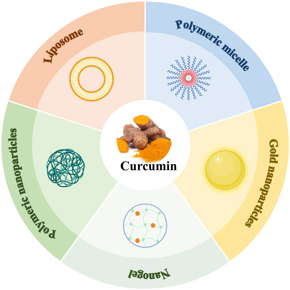 Diagram showing curcumin at the center surrounded by five sections representing different delivery systems: liposome, polymeric micelle, gold nanoparticles, nanogel, and polymeric nanoparticles, each with corresponding illustrations.