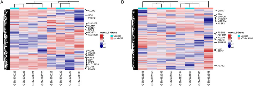 Two heatmaps labeled A and B show gene expression data with hierarchical clustering. Rows represent different genes, and columns represent samples. Color gradients from blue to red indicate expression levels, with blue for low and red for high. In heatmap A, groups are