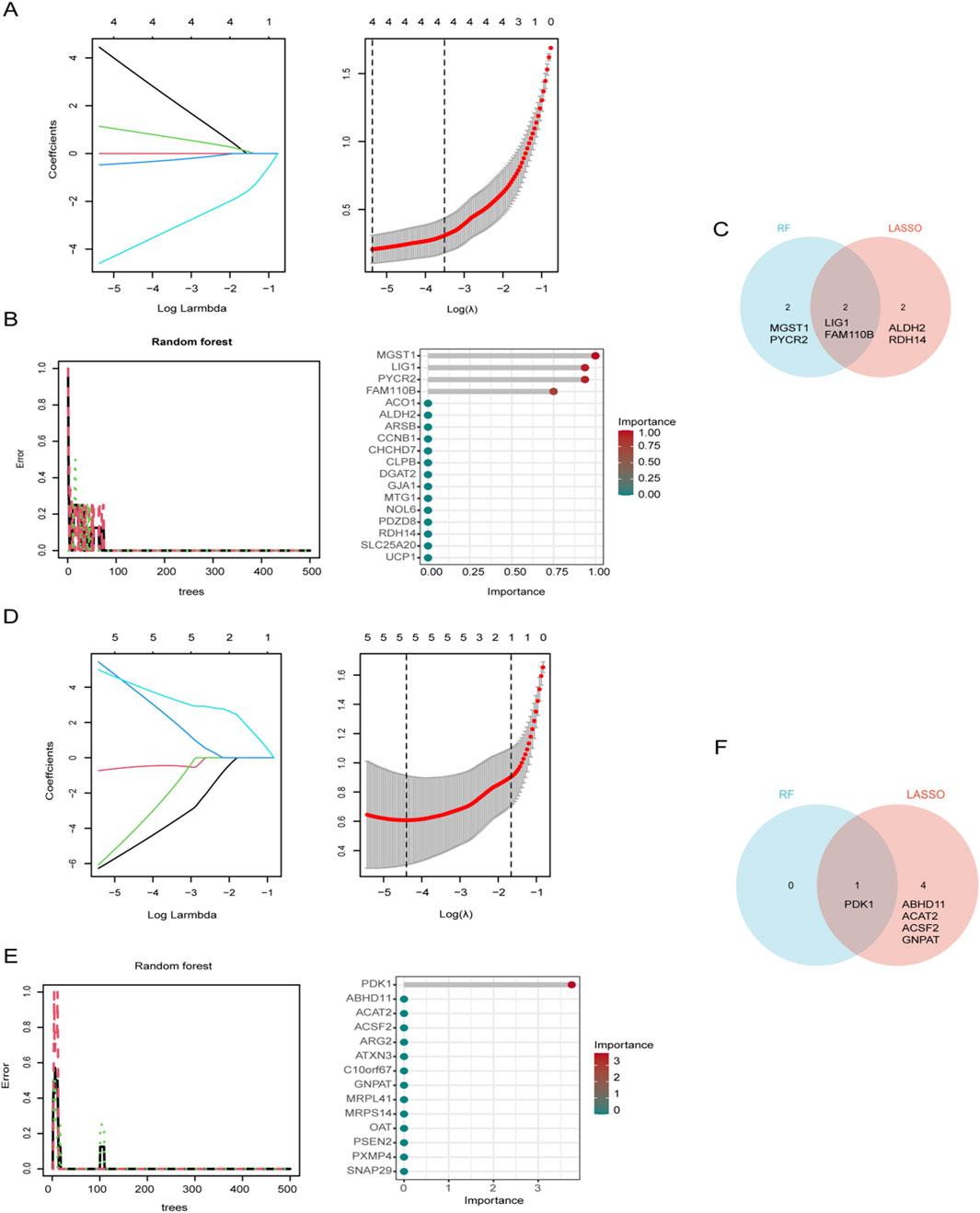 (A) Two graphs display coefficients against the log of lambda and log of X, using colored lines and error bars. (B) A random forest graph shows tree error rates alongside a bar chart of feature importance. (C) A Venn diagram compares features selected by random forest and LASSO methods. (D) Similar to (A) with different values. (E) Another random forest graph with bar chart for different feature importance. (F) Another Venn diagram showing overlapping and unique features between RF and LASSO.