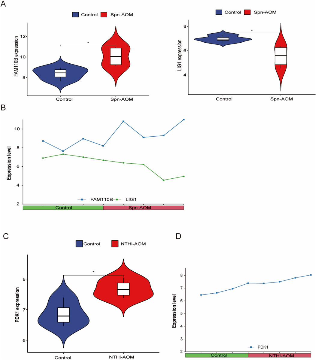 Panel A displays violin plots comparing FAM110B and LIG1 expression in Control (blue) and Spn-AOM (red) groups, highlighting increased expression in Spn-AOM. Panel B shows a line graph of expression levels over time for these genes, contrasting control and Spn-AOM groups. Panel C presents violin plots for PDK1 expression in Control (blue) and NTHi-AOM (red), with elevated levels in NTHi-AOM. Panel D illustrates a line graph of PDK1 expression levels over time for both groups.