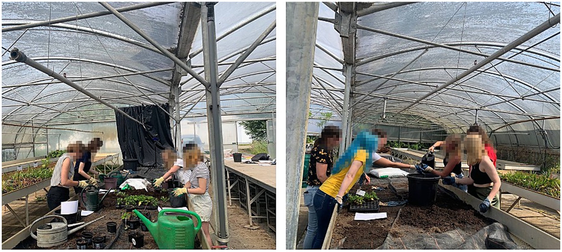 People are working in a greenhouse, engaged in planting activities at long tables. They are using tools such as watering cans and wearing gloves. The environment is bustling with activity, focusing on gardening tasks.