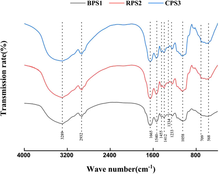 Graph showing transmission rates (%) versus wave numbers (cm⁻¹) for three samples: BPS1 (black), RPS2 (red), and CPS3 (blue). Each line has peaks and troughs at specific wave numbers, such as around 3298, 2932, 1665, and 568 cm⁻¹, indicating varying transmission rates across the spectrum.