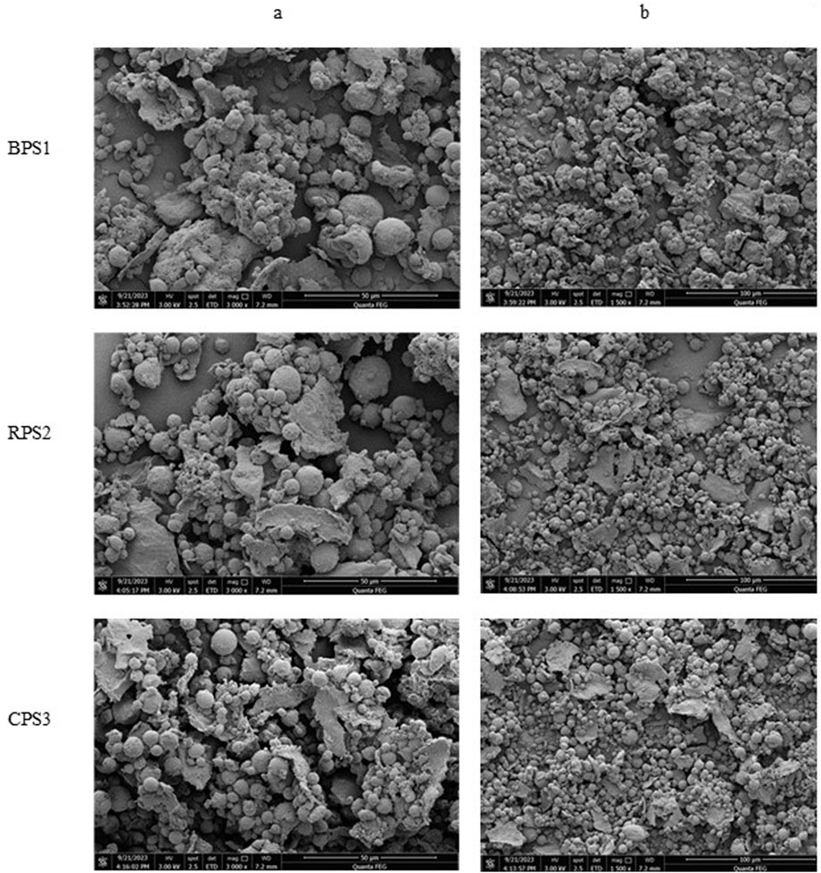 Scanning electron microscope images of powder samples labeled BPS1, RPS2, and CPS3, in two columns labeled 'a' and 'b'. Each image shows varying degrees of particle aggregation and texture, with scale bars for reference.