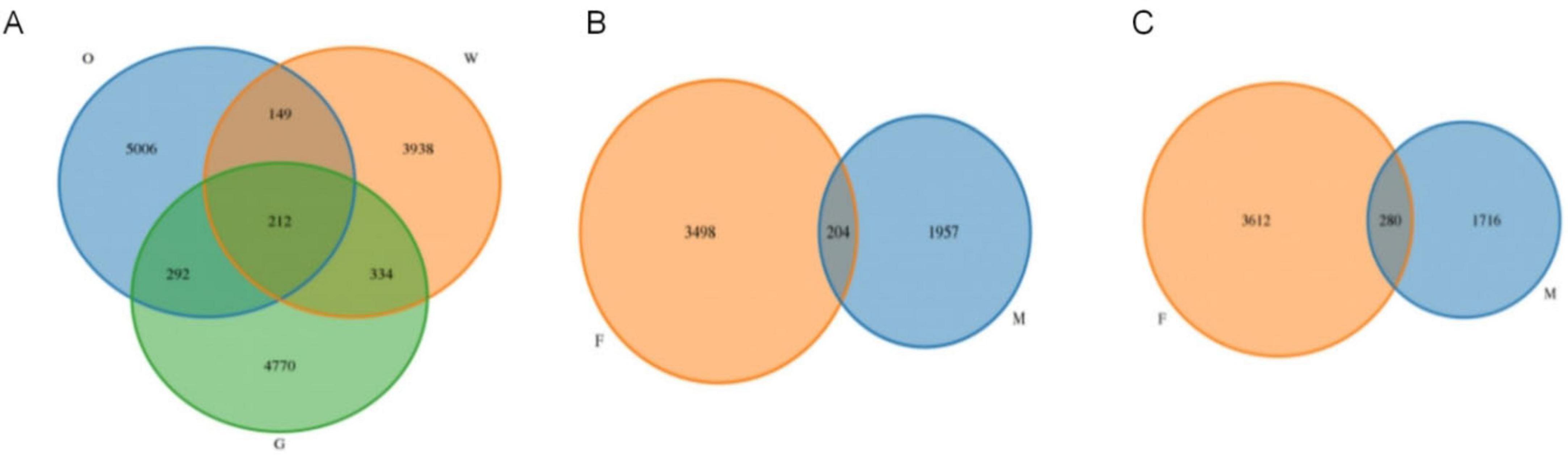 Three panels labeled A, B, and C show Venn diagrams. Panel A has three overlapping circles labeled O, W, and G, each with unique and shared numbers. Panel B shows two overlapping circles labeled F and M with unique and shared numbers. Panel C also features overlapping circles labeled F and M, displaying different values of unique and shared elements.