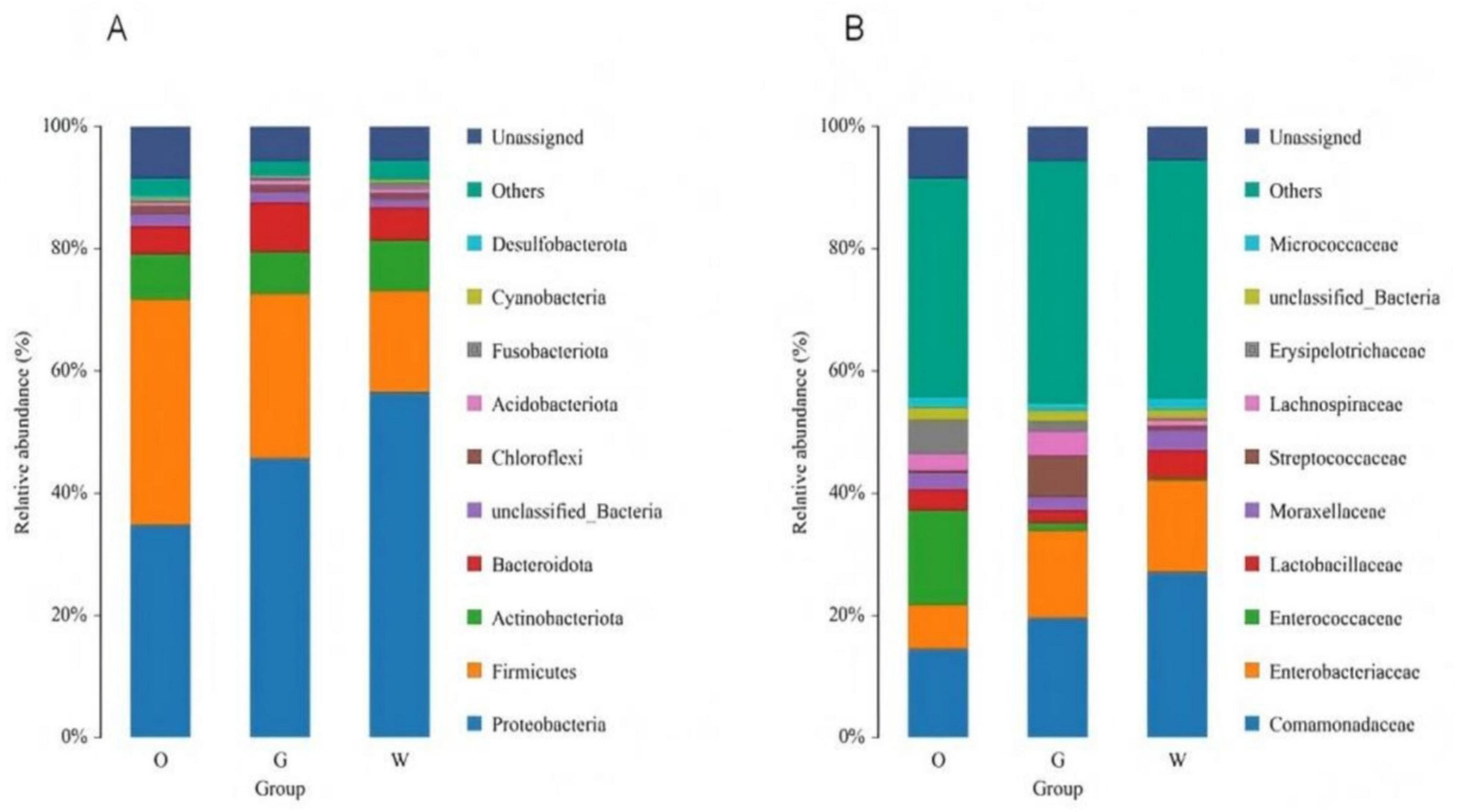 Bar charts labeled A and B show the relative abundance of microbial groups in samples O, G, and W. In A, groups like Proteobacteria, Firmicutes, and Actinobacteriota dominate. In B, Comamonadaceae, Enterobacteriaceae, and Enterococcaceae are prevalent. Each bar’s segments represent different microbial groups, color-coded according to the legend on the right.