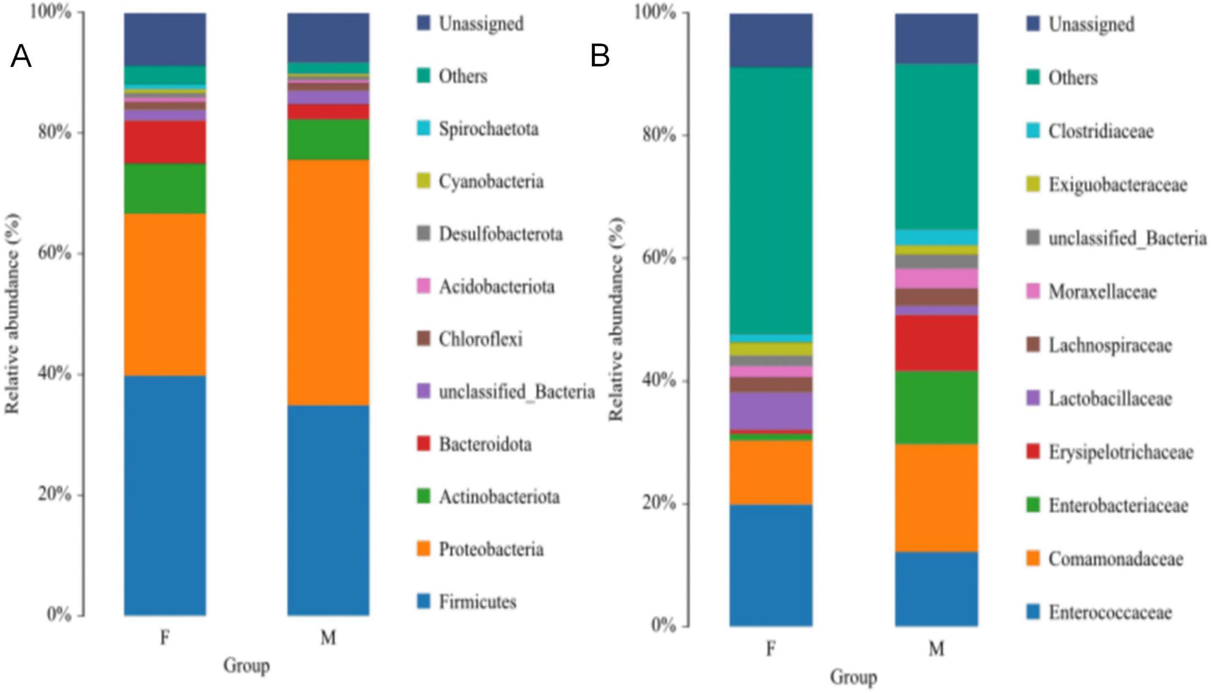Two stacked bar charts labeled A and B compare the relative abundance of various bacterial groups in two samples, F and M. Chart A highlights groups like Proteobacteria and Firmicutes, while Chart B features Clostridiaceae and Enterococcaceae. A legend identifies different bacteria with distinct colors.