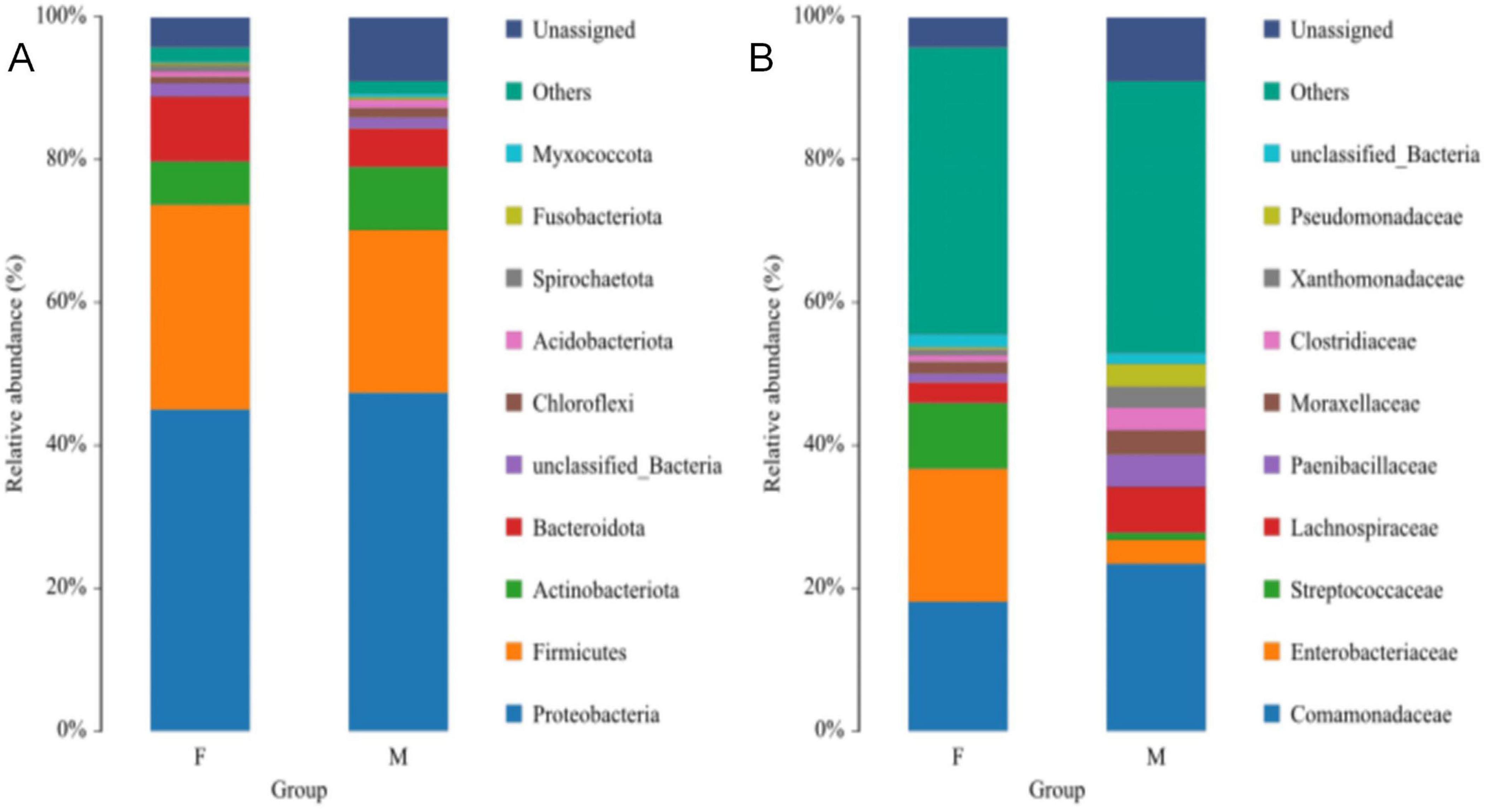 Bar charts labeled A and B compare relative abundance of different bacterial groups in two groups, F and M. Chart A lists bacterial phyla like Proteobacteria, Firmicutes, and others, while chart B lists families such as Pseudomonadaceae, Enterobacteriaceae, and more. Each bacterial group is color-coded with a legend for reference.