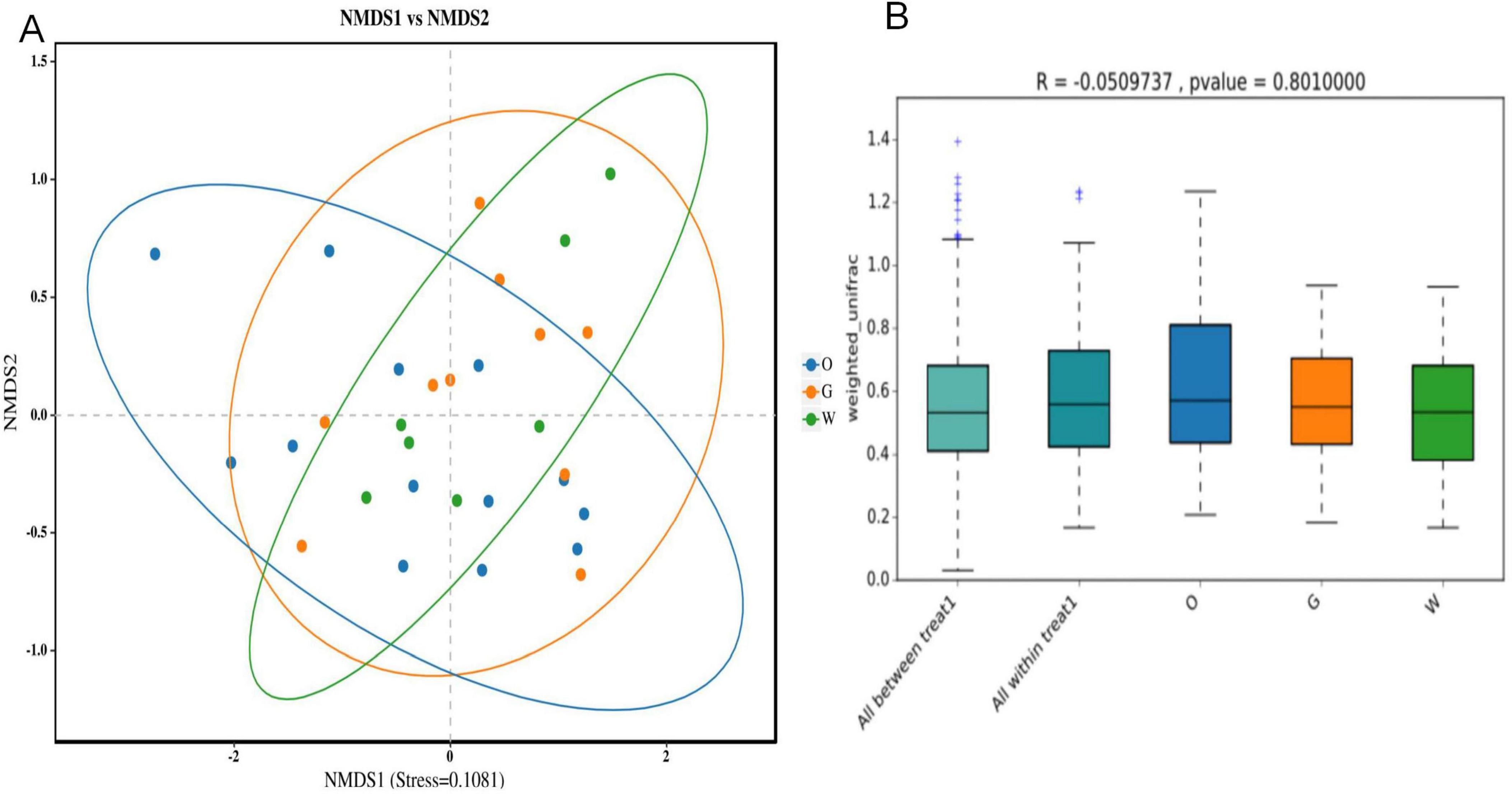 A side-by-side image showing two types of data visualizations. On the left, a scatter plot titled “NMDS1 vs NMDS2” presents points in three colors (blue, green, and orange) within ellipses, indicating clusters along NMDS1 and NMDS2 axes. On the right, a box plot compares weighted unifrac scores across five categories, labeled as “All between treat2,” “All within treat1,” “O,” “G,” and “W.” The R value is -0.0509737 with a p-value of 0.8010000.