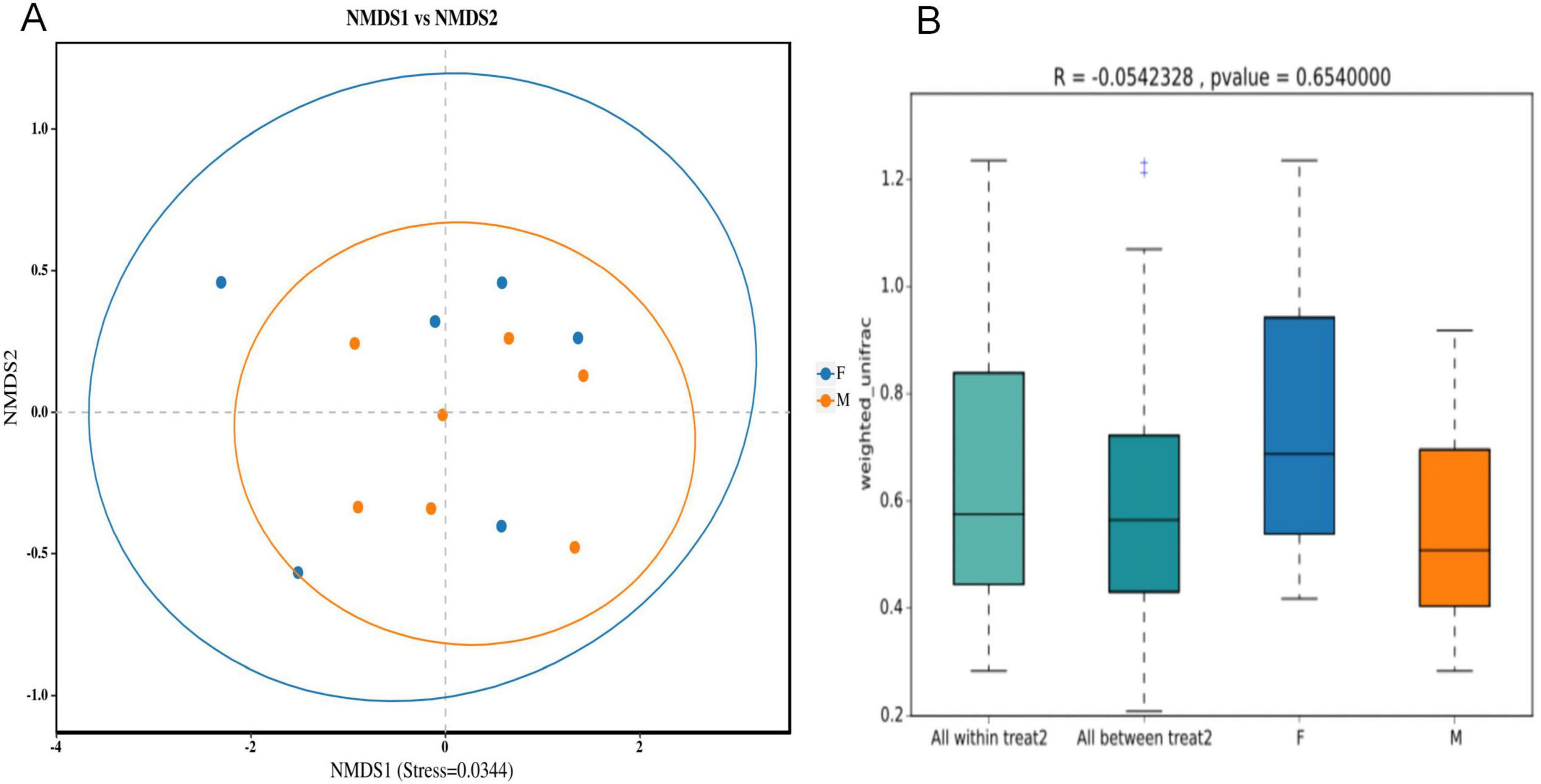 Panel A shows a scatter plot of NMDS1 versus NMDS2 with blue and orange points, surrounded by ellipses, indicating clustering. Stress value is 0.0344. Panel B presents a box plot with four categories: “All within treat2,” “All between treat2,” “F,” and “M.” The y-axis measures weighted unifrac, with an R value of -0.0542328 and a p-value of 0.6540000.