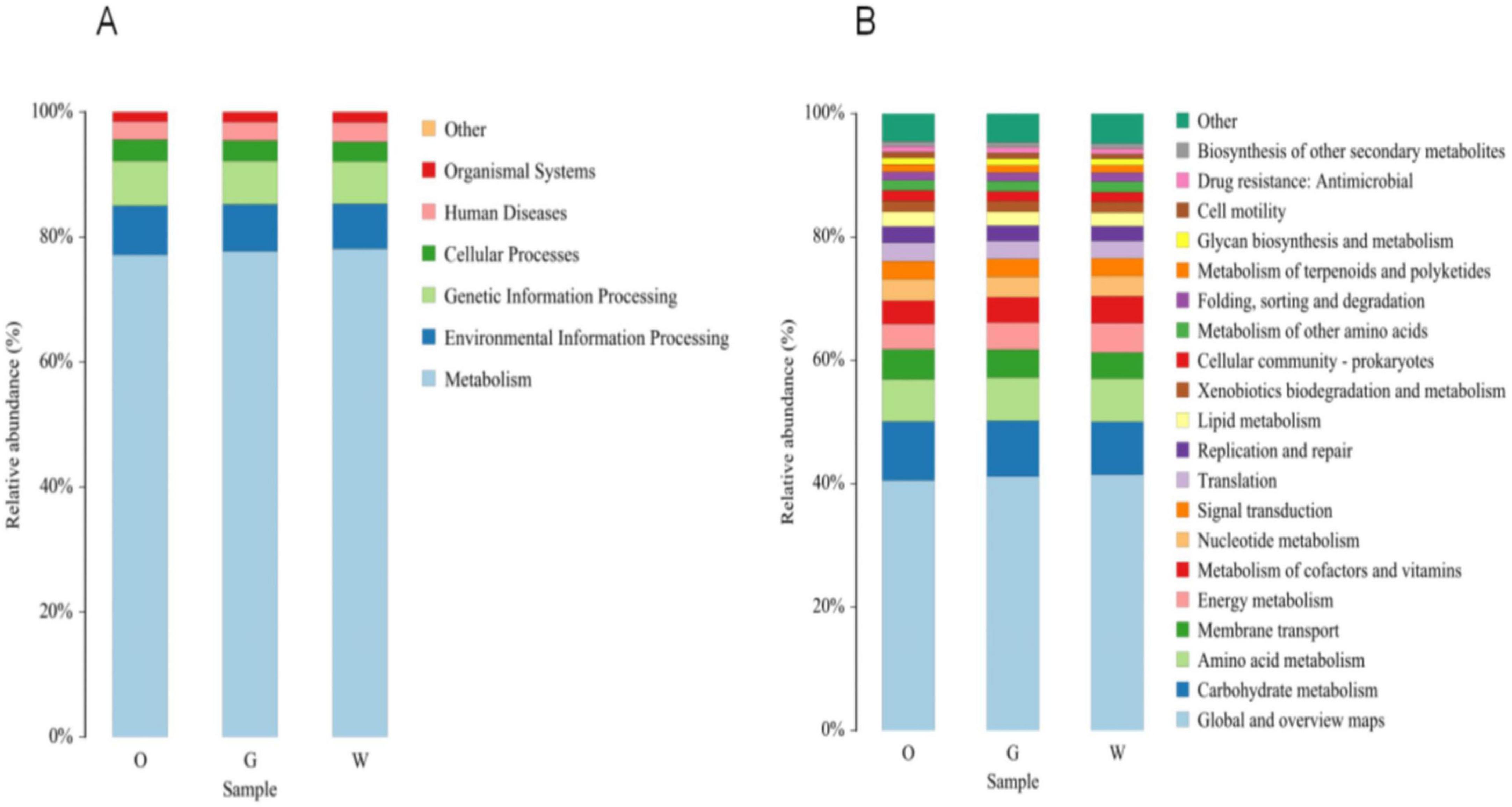 Chart A and chart B show stacked bar graphs representing the relative abundance percentages of various biological categories across three samples labeled O, G, and W. Chart A includes categories such as metabolism, genetic information processing, and human diseases. Chart B further details metabolism subcategories, including nucleotide metabolism and amino acid metabolism. Each bar is color-coded according to its category, with a legend on the right side of the charts.