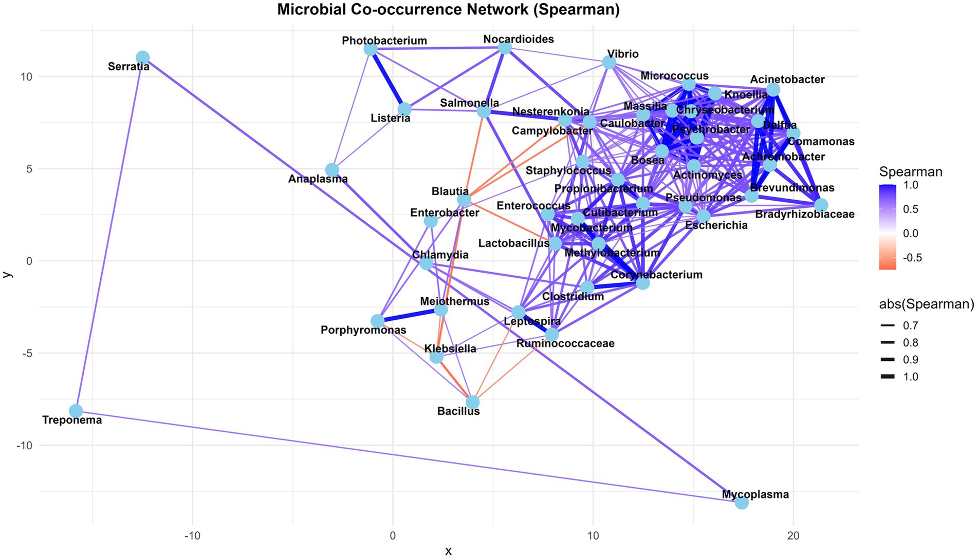 Microbial co-occurrence network graph using Spearman correlation, displaying various microbial genera as nodes connected by lines in shades from blue to red, indicating correlation strength (blue for positive, red for negative). Line thickness represents the absolute value of correlation, ranging from 0.7 to 1.0. Nodes are labeled with microbial names like Serratia, Vibrio, and Clostridium, positioned on an X-Y coordinate plane.