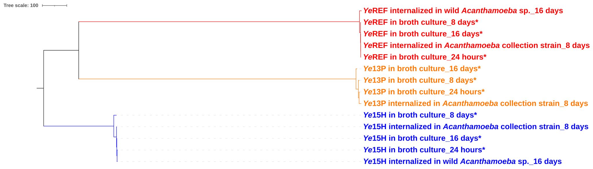 Phylogenomic tree diagram showing three main branches in red, orange and blue, each representing different strains in various experimental conditions. The labels indicate