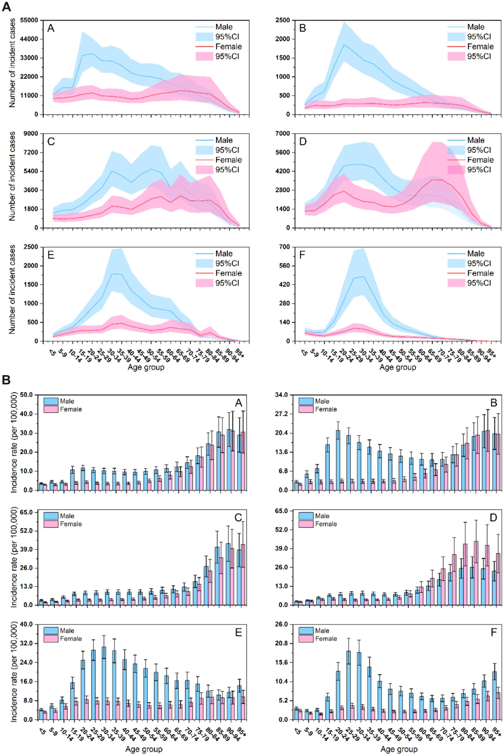 Graphs display the number of incident cases and incidence rates by age group and gender across six panels. Panels A to F show data for males and females with confidence intervals. Blue represents males, pink represents females. Top graphs indicate the number of cases, while bottom graphs depict incidence rates per 100,000. Both reveal variations across different age groups, highlighting trends and confidence intervals in measurements.