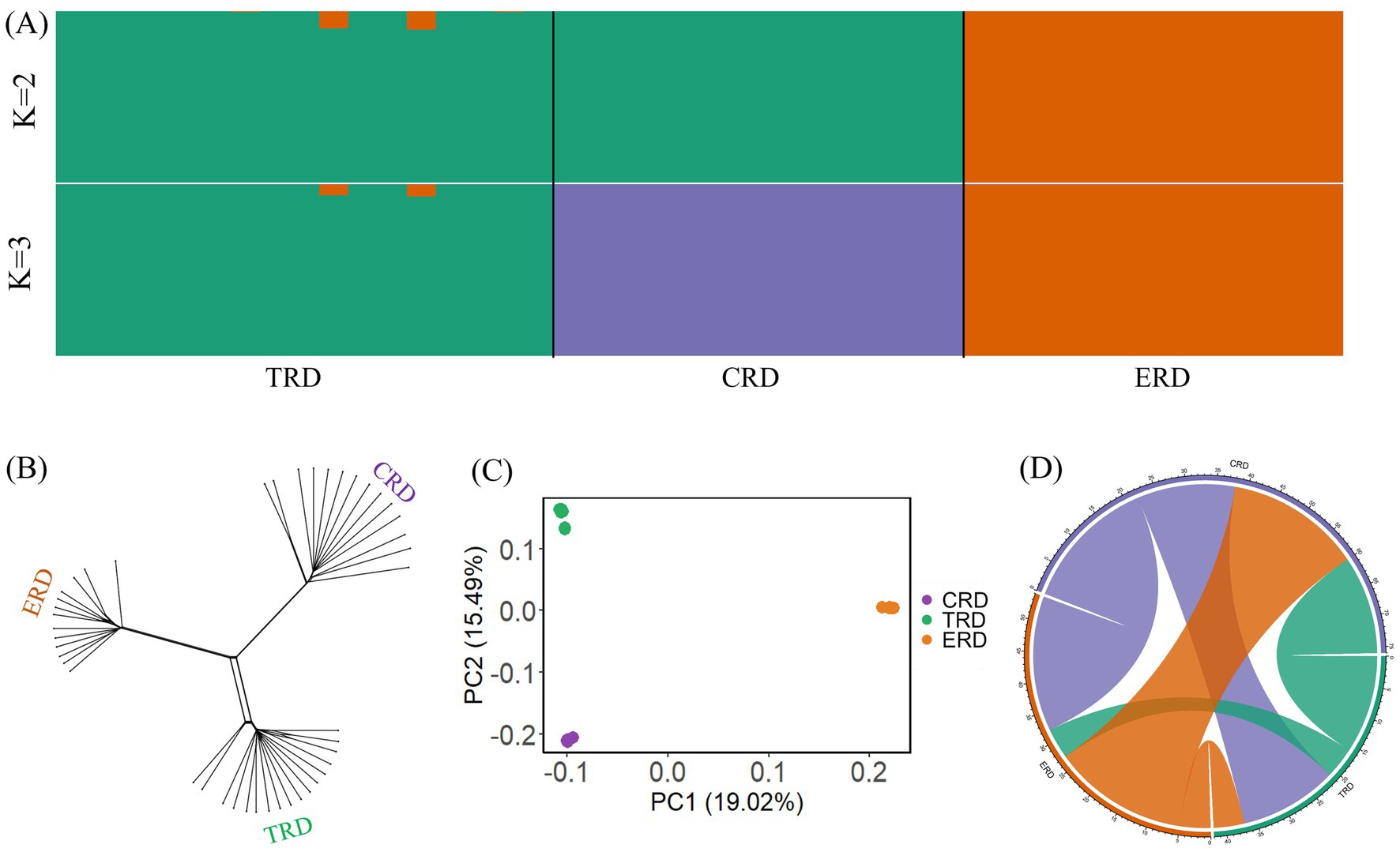 (A) Bar plots showing genetic clusters for K=2 and K=3 among TRD, CRD, and ERD. (B) Phylogenetic tree depicting relationships among TRD, CRD, and ERD. (C) Scatter plot from principal component analysis highlighting genetic variation between CRD, TRD, and ERD. (D) Circular diagram illustrating genetic flow among TRD, CRD, and ERD with colored segments.