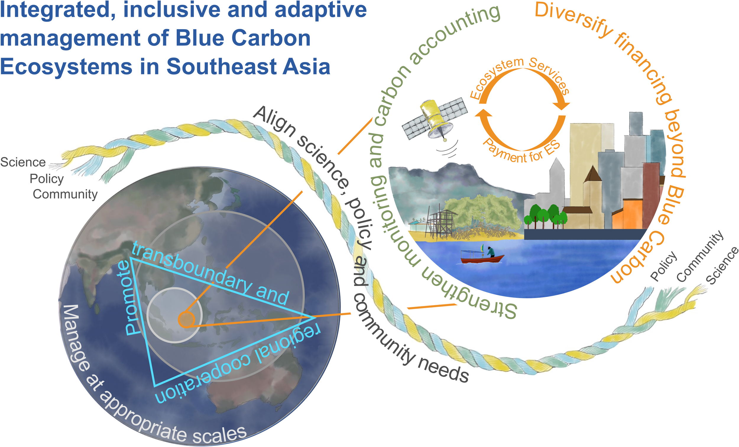 Diagram illustrating an integrated approach to managing Blue Carbon Ecosystems in Southeast Asia. The image features a braided cord symbolizing unity among science, policy, and community. On the left, a globe emphasizes regional cooperation and appropriate scale management. On the right, ecosystem services, carbon accounting, and diversified financing are highlighted with city and natural landscapes. Arrows connect these elements, stressing the synergy between different fields.