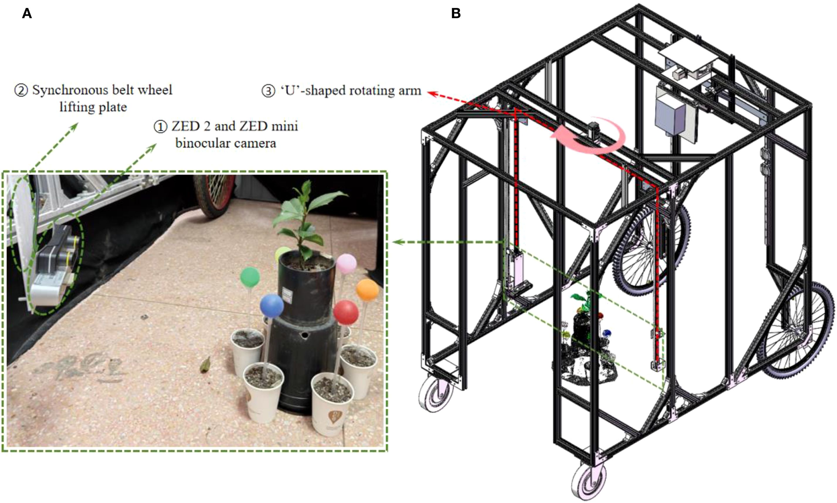 Diagram of a plant monitoring system with two parts. Part A shows a potted plant surrounded by white cups with colored balls, a synchronous belt wheel lifting plate, and a ZED 2 binocular camera. Part B is an illustration of a metal frame with wheels, featuring a 'U'-shaped rotating arm mechanism.