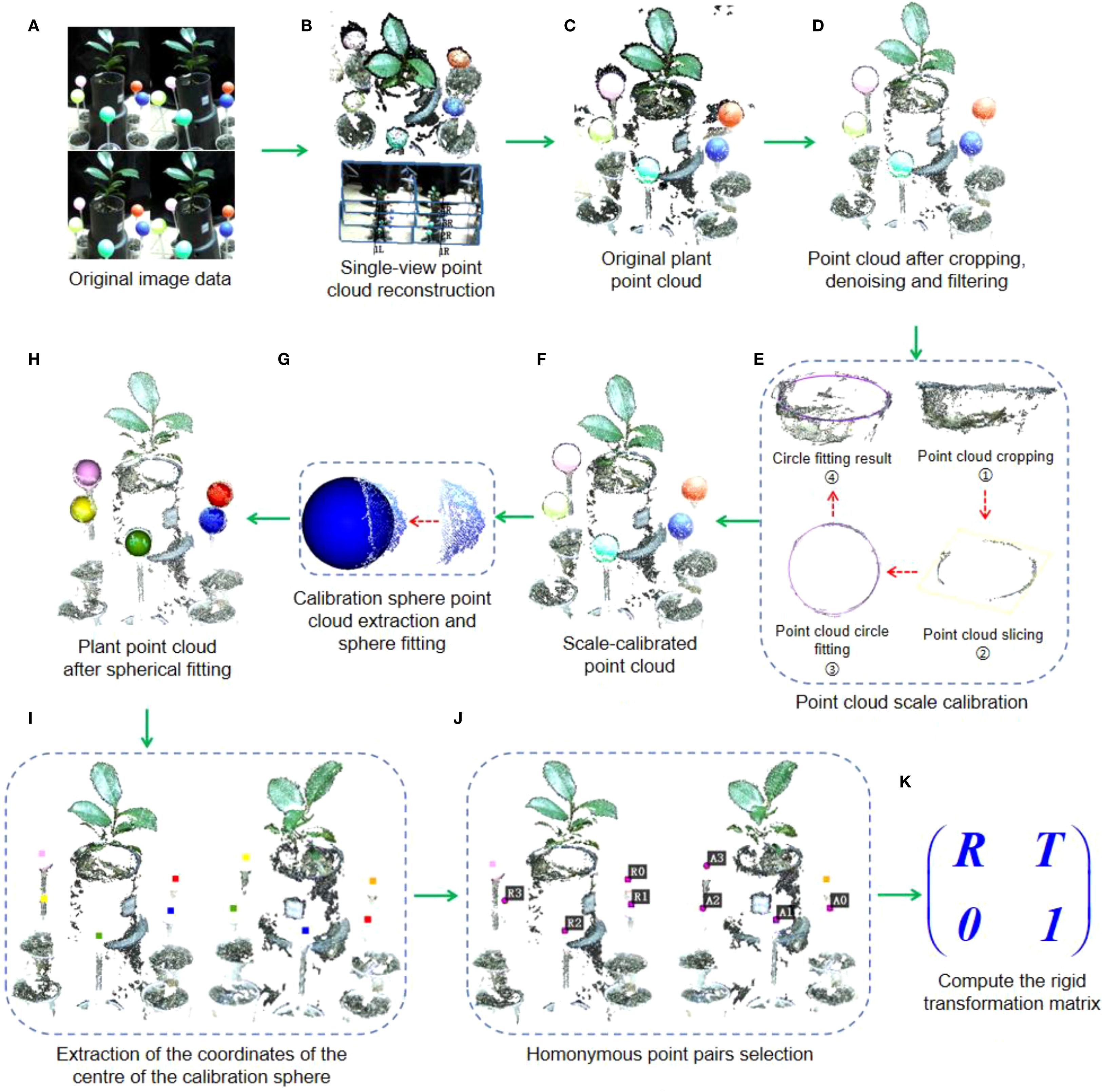 Flowchart illustrating the process of point cloud calibration and transformation for plant data. Steps A to K show progression from original image data to computation of the rigid transformation matrix. Key stages include single-view point cloud reconstruction, denoising, filtering, scale calibration with a sphere, and extraction of point pairs for alignment.