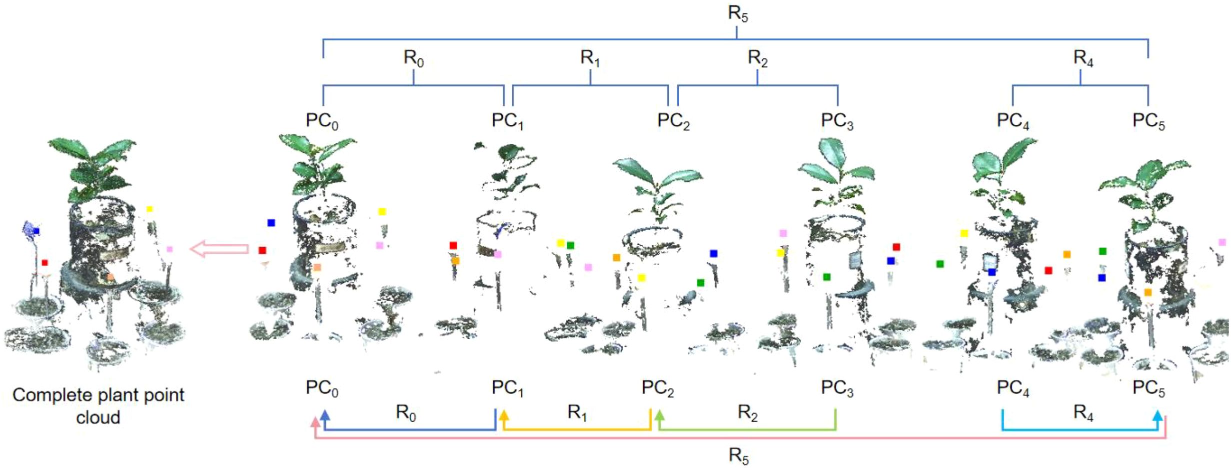 Illustration of a plant point cloud division showing six stages (PC₀ to PC₅). Each stage groups different color-coded data points around plant representations. Arrows and labels (R₀ to R₅) indicate hierarchical relationships.