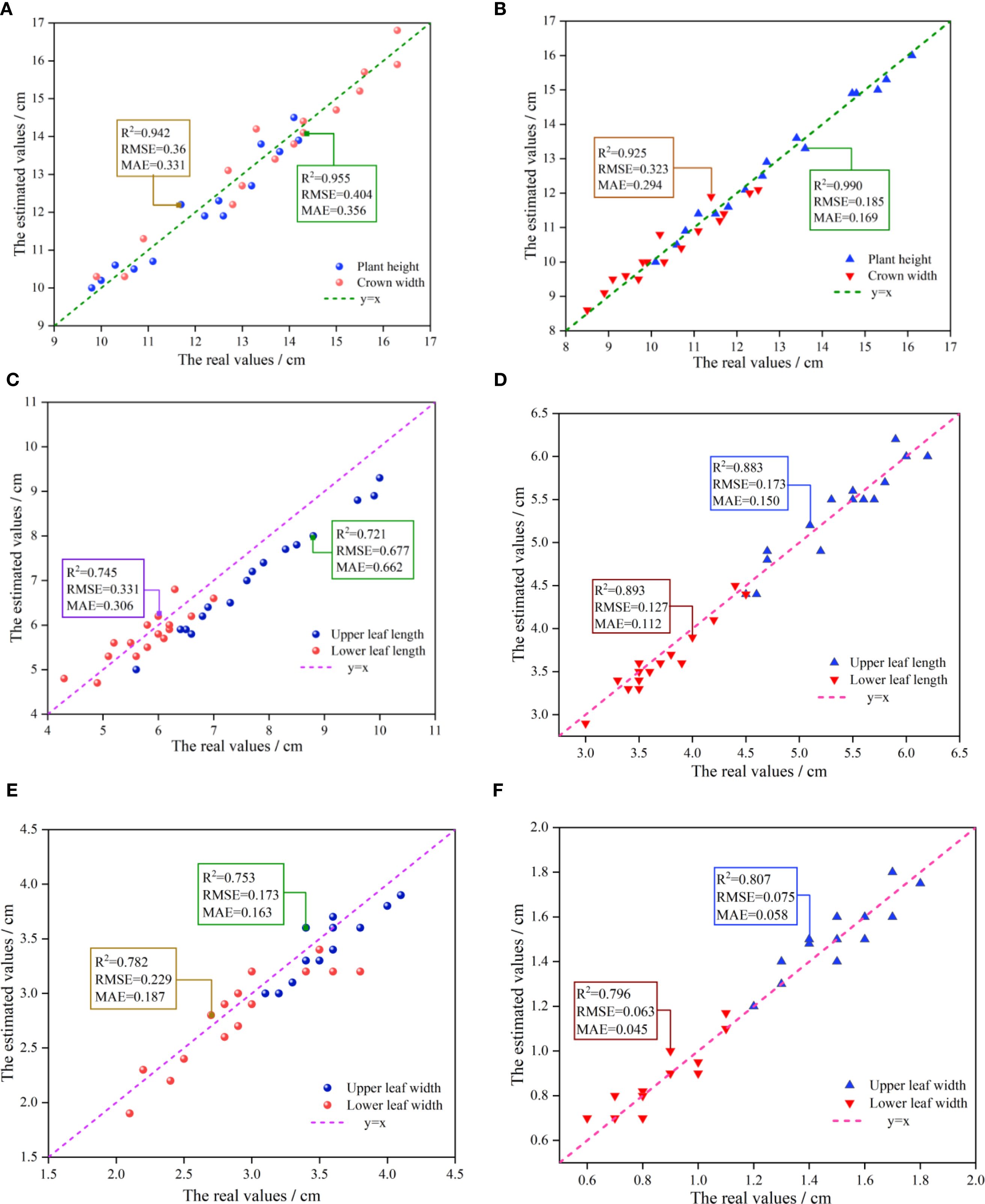 Scatter plots A to F depict estimated versus real values for plant height, crown width, leaf length, and leaf width, with performance metrics R², RMSE, and MAE. Each plot shows colored markers for different variables and a line where estimated equals real values. Panel A and B focus on overall plant measurements, while C to F detail leaf dimensions. Plots include linear regression insights demonstrating the accuracy of measurements.
