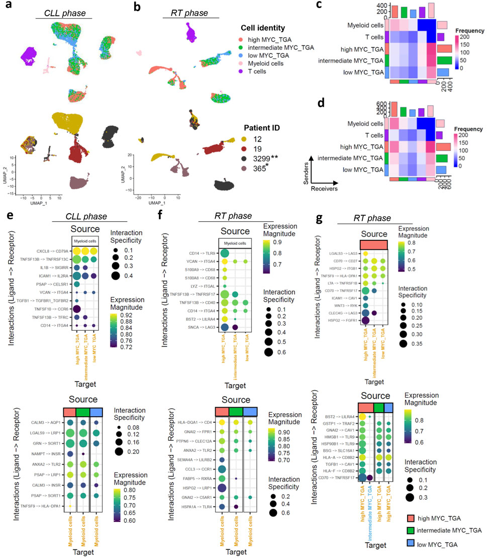 The image contains multiple panels related to cell interactions in CLL and RT phases. Panels a and b show UMAP plots of cell identities and patient IDs during CLL and RT phases, respectively. Panels c and d display heatmaps of cell type frequencies. Panels e, f, and g present dot plots indicating ligand-receptor interactions, with details on interaction specificity and expression magnitude. Legends denote cell identities, patient IDs, source, and target in the plots.