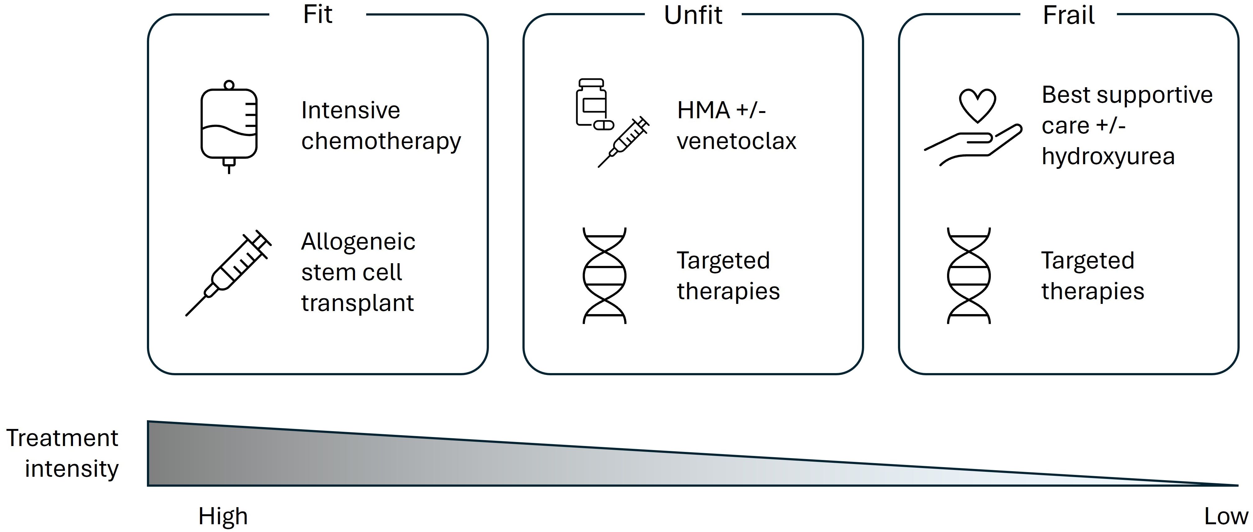 Flowchart illustrating treatment approaches for different patient fitness levels. “Fit” individuals receive intensive chemotherapy and allogeneic stem cell transplants. “Unfit” patients receive HMA with or without venetoclax, or targeted therapies. “Frail” patients receive best supportive care with or without hydroxyurea, or targeted therapies. Treatment intensity decreases from high for “Fit” to low for “Frail”.