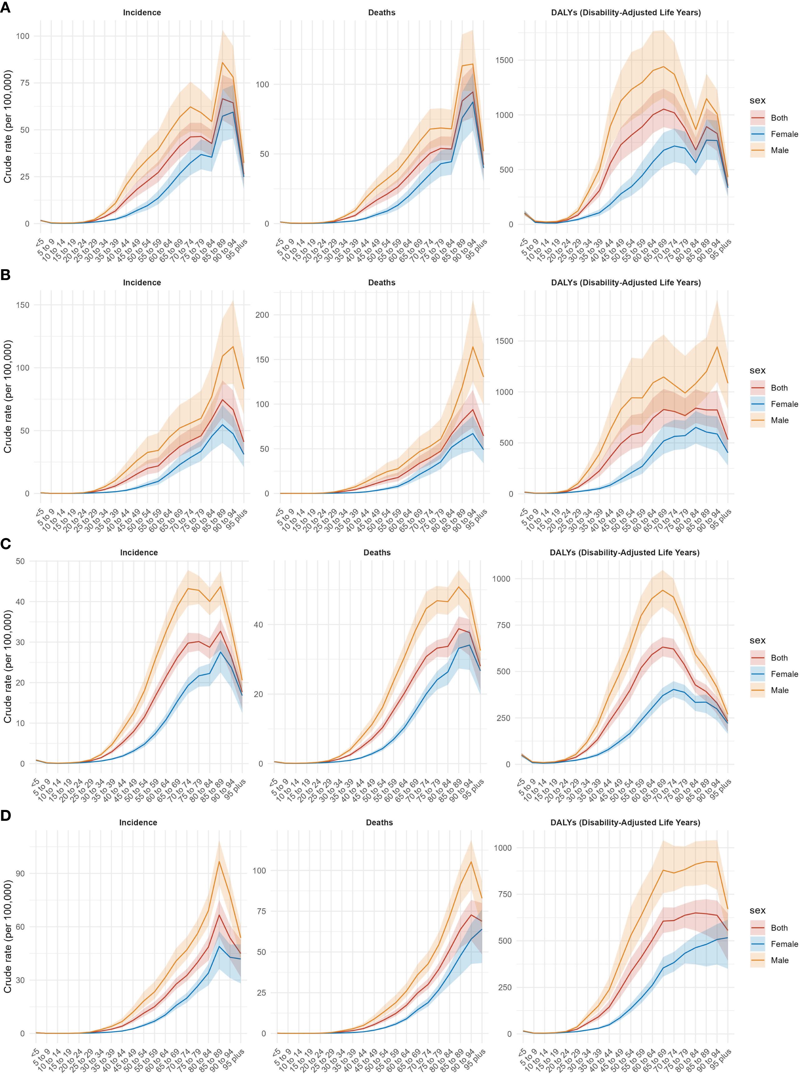 Line graphs labeled A to D display incidence, deaths, and DALYs (Disability-Adjusted Life Years) per age group for both sexes, separated by females and males. Crude rates increase with age across all measures, with males generally having higher rates.