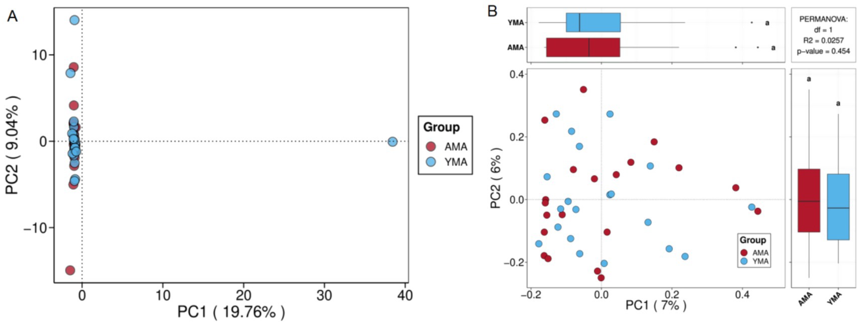 Two plots labeled A and B. Plot A shows a PCA biplot with components PC1 (19.76%) and PC2 (9.04%); red and blue dots represent groups AMA and YMA, respectively. Plot B includes a PCA biplot with components PC1 (7%) and PC2 (6%), a box plot, and a PERMANOVA summary indicating statistical analysis results: df=1, R2=0.0257, p-value=0.454.