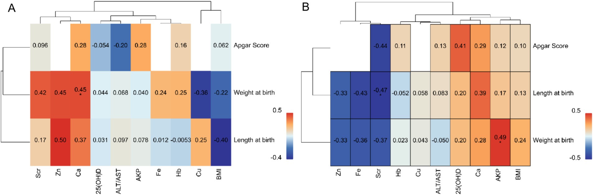 Heatmaps labeled A and B show correlation coefficients between various nutritional and birth measurements, including Scr, Zn, Ca, 25(OH)D, ALT/AST, AKP, Fe, Hb, Cu, BMI, and birth outcomes such as Apgar score, weight, and length. Colors range from blue (negative correlation) to red (positive correlation) with coefficients indicated in each cell. Clustering appears above and beside the heatmaps.