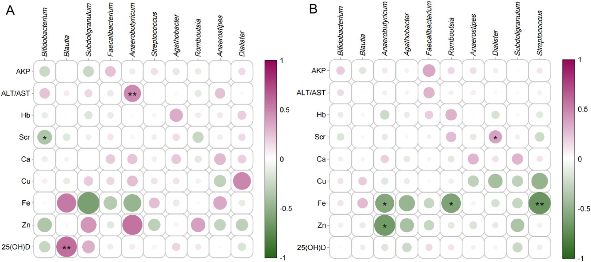 Two correlograms display relationships between various bacteria genera and biological variables. Both charts use colored circles on a grid to represent correlation values. Darker pink indicates a positive correlation, and darker green indicates a negative correlation, with the color intensity and circle size varying according to correlation strength. Some grid circles contain asterisks to signify significance, ranging from one to two asterisks. Each correlogram is labeled A and B, and a vertical color gradient bar from pink to green is shown on the right for reference.