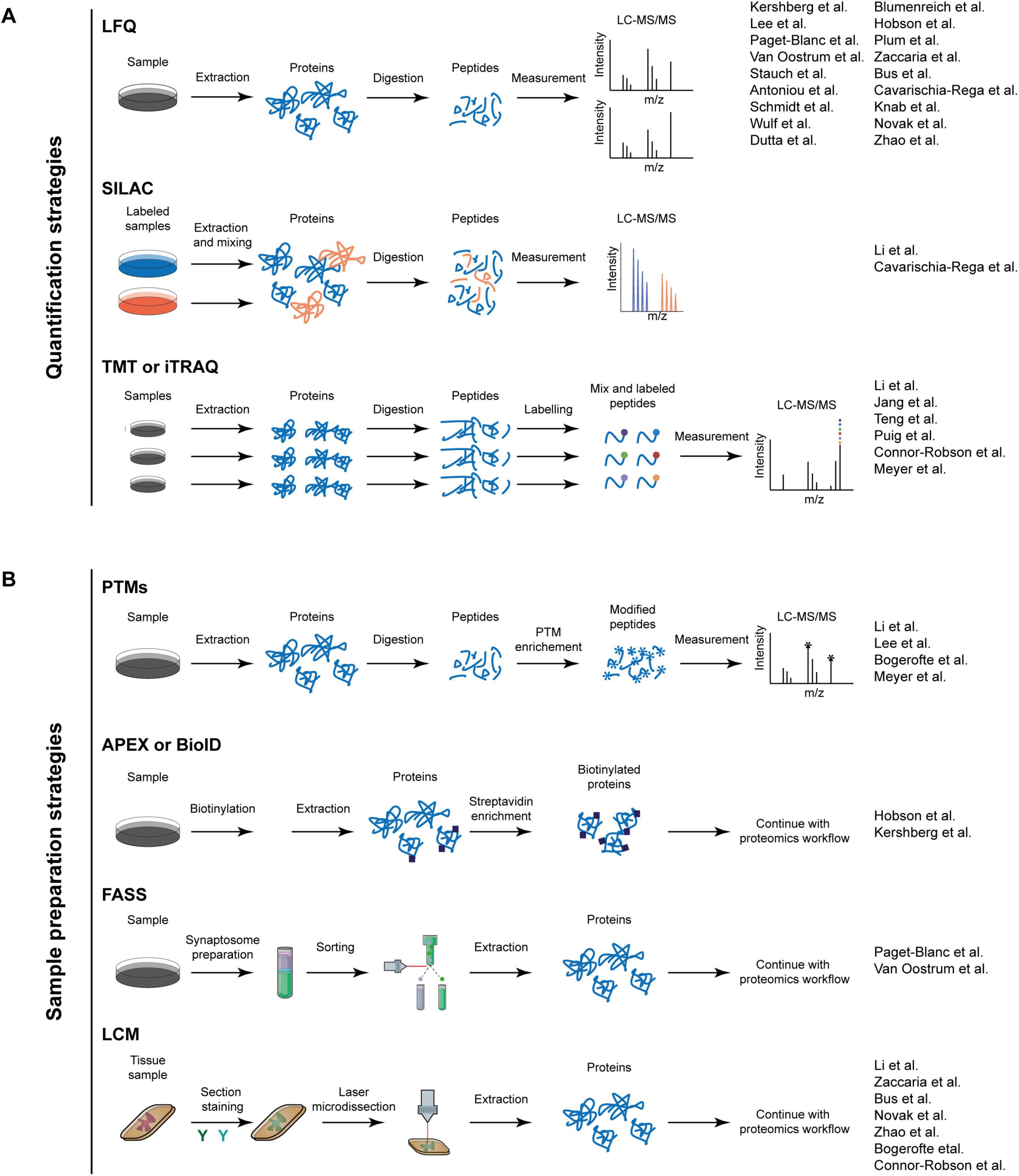 Diagram showing quantification and sample preparation strategies for proteomics. Section A includes LFQ, SILAC, and TMT/iTRAQ, each describing steps from sample extraction to LC-MS/MS measurement. Section B covers PTMs, APEX/BioID, FASS, and LCM, detailing steps like enrichment and extraction. Both sections list reference studies.